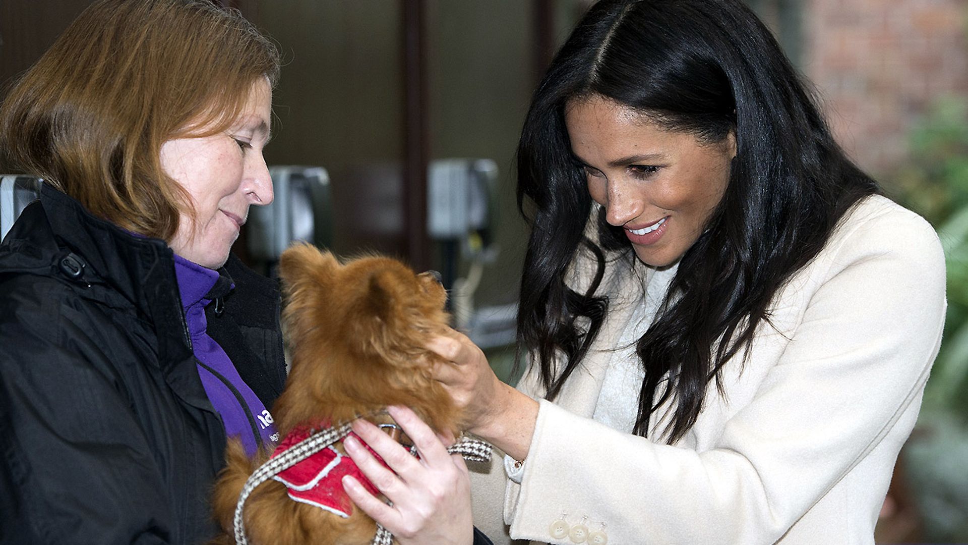 Meghan Markle describe qué significó para ella el adoptar un perro