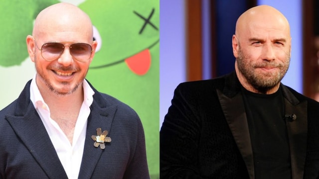 pitbull travolta