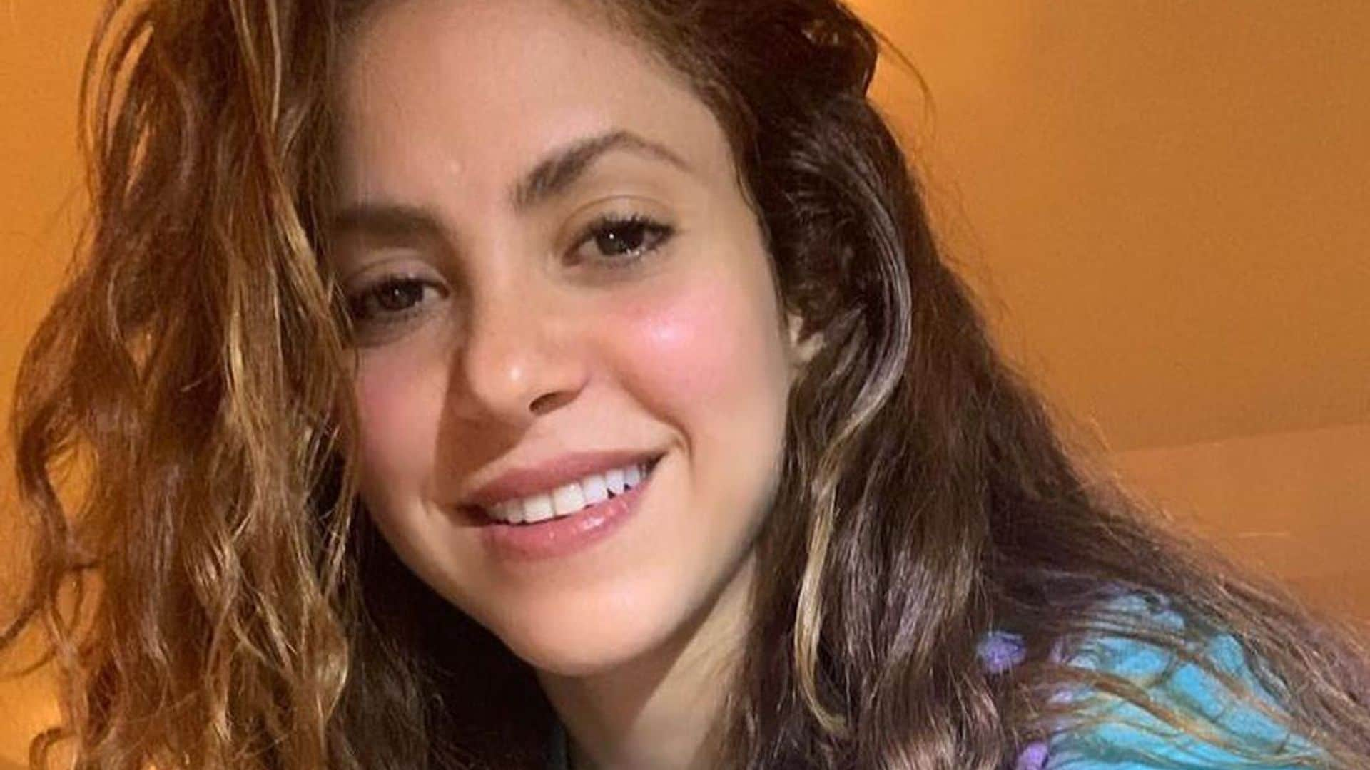 Shakira presenta al nuevo y tierno integrante de su familia