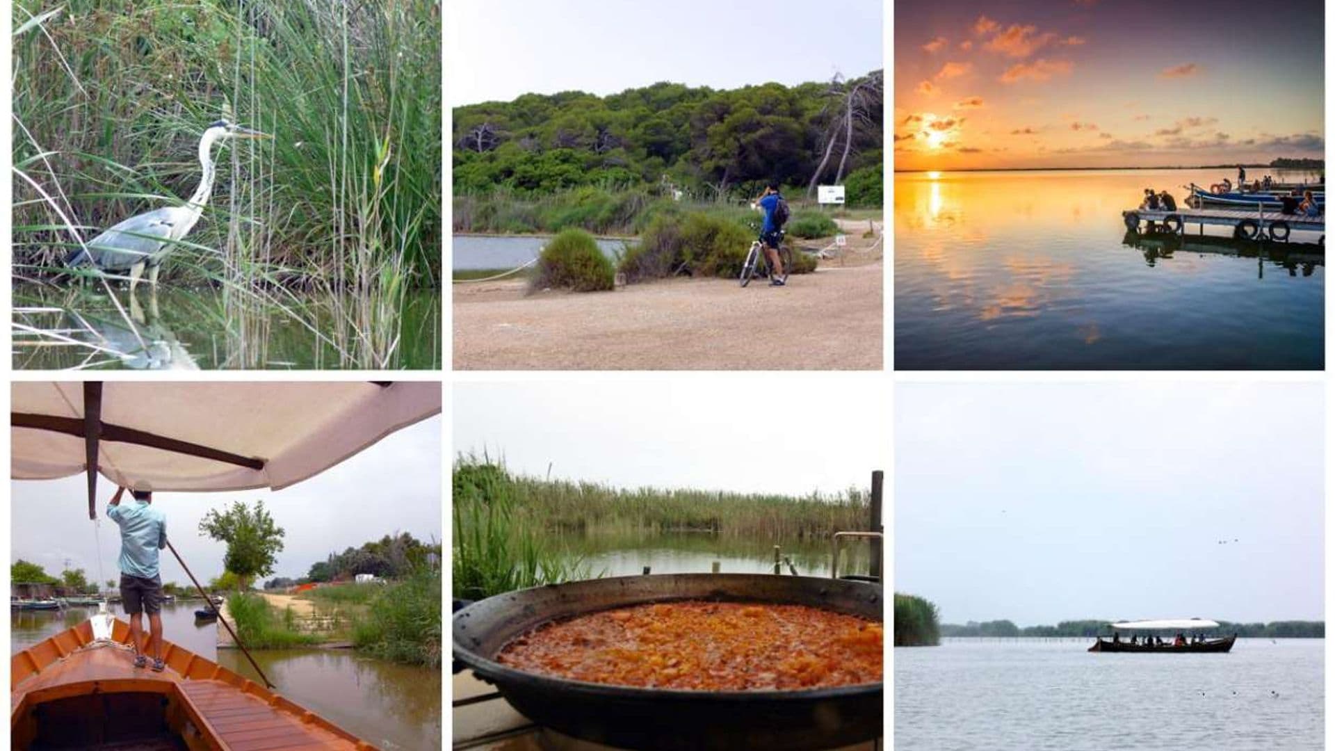 Experiencias en la Albufera, el plan perfecto en la naturaleza a 10 minutos de Valencia