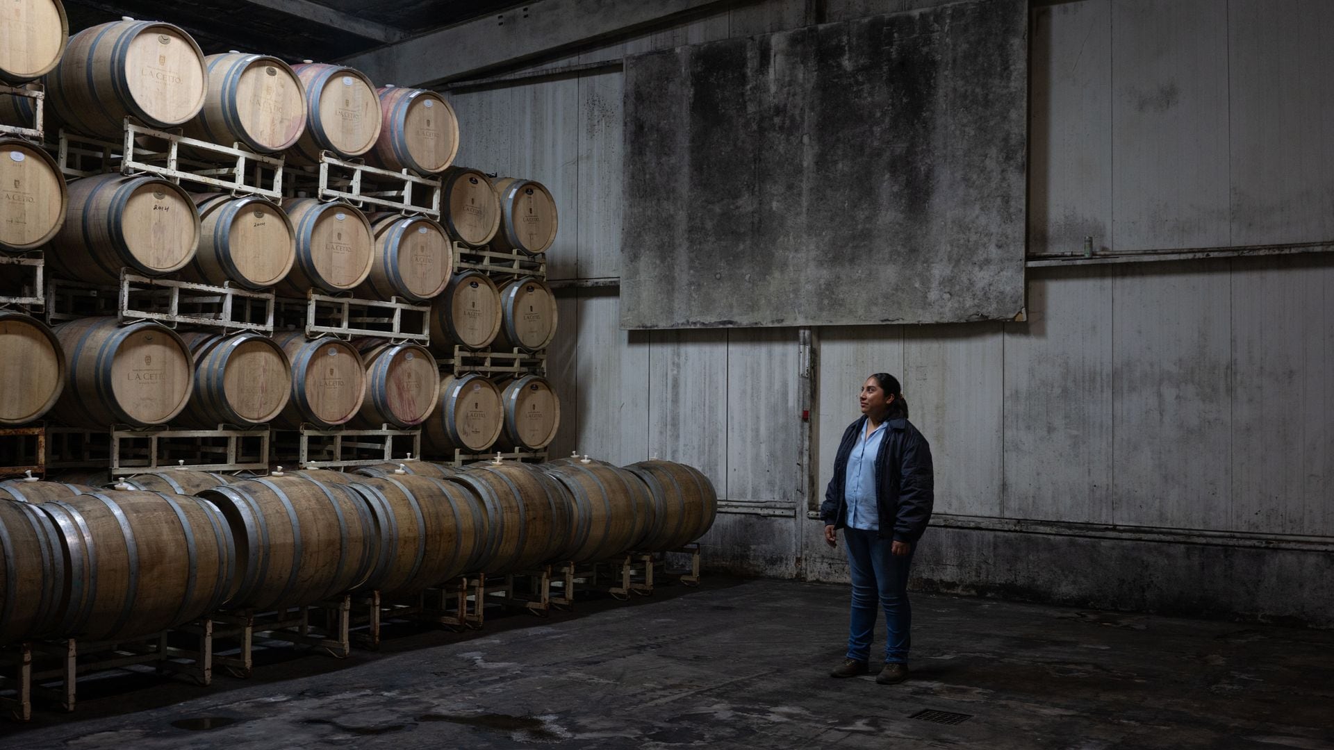 Actualmente, Baja California es la zona vinícola responsable de la mayor producción de vino a nivel nacional.