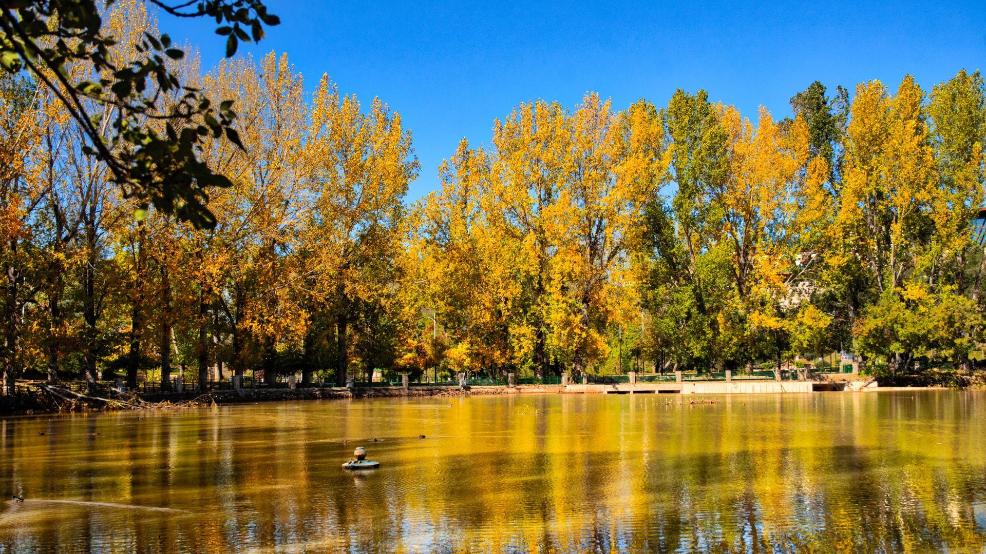 Lago en Ifrane, Marruecos