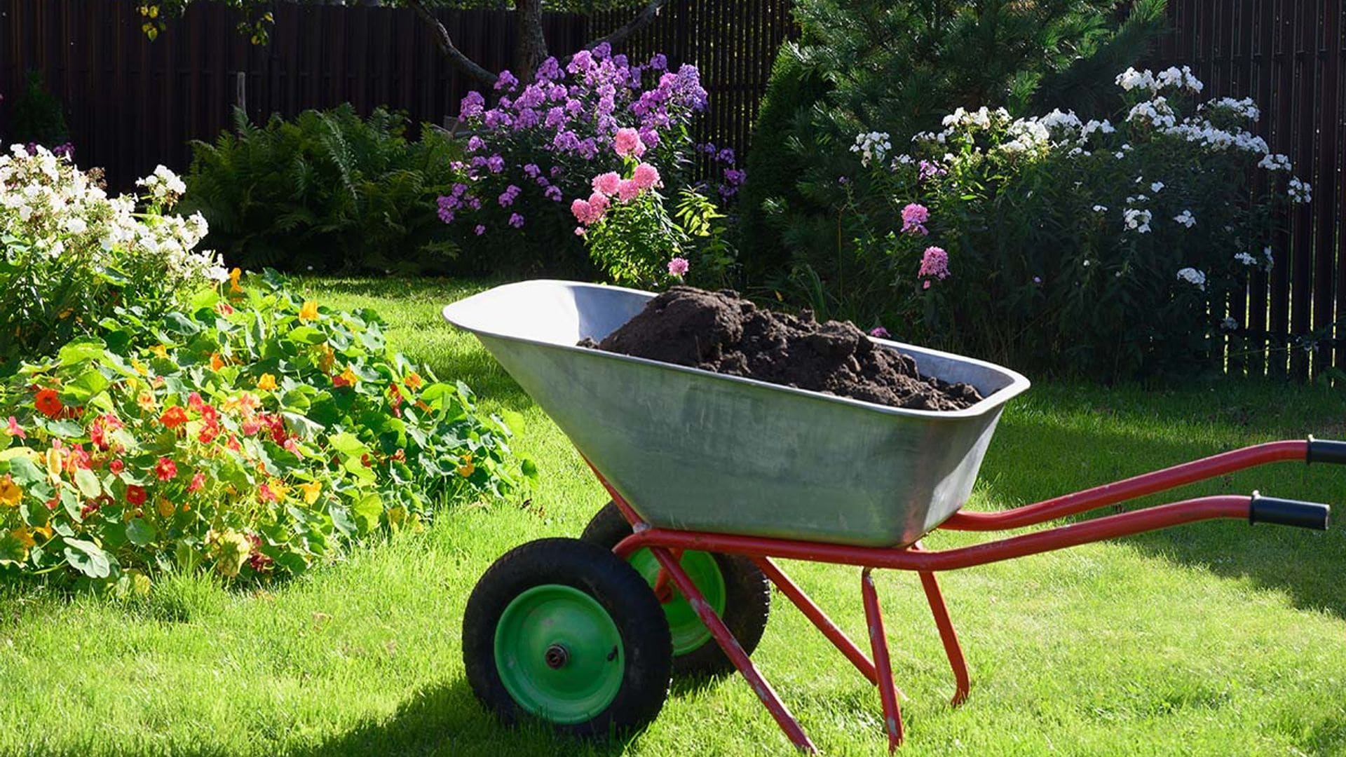 Todas las preguntas que debes plantearte antes de hacer compost para tus plantas