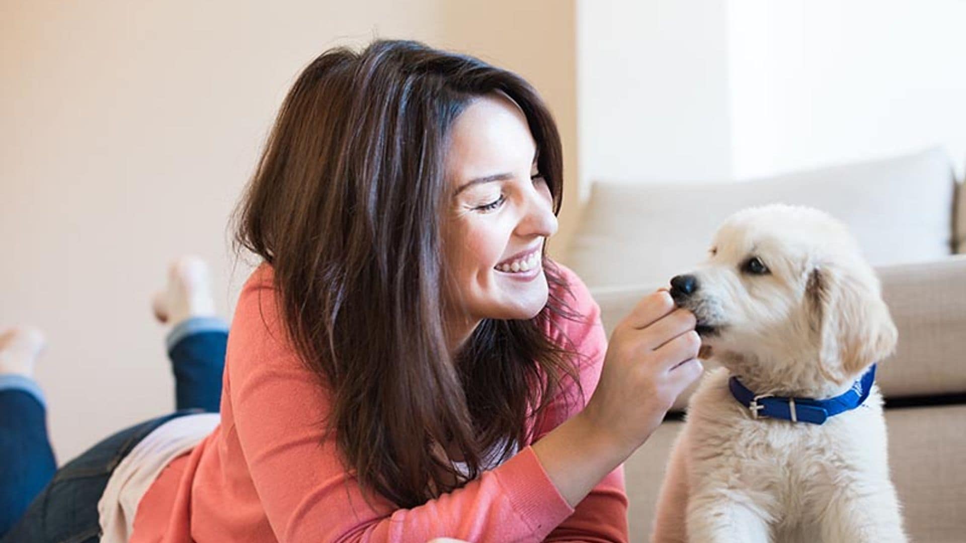 Cómo saber si eres un buen dueño para tu perro