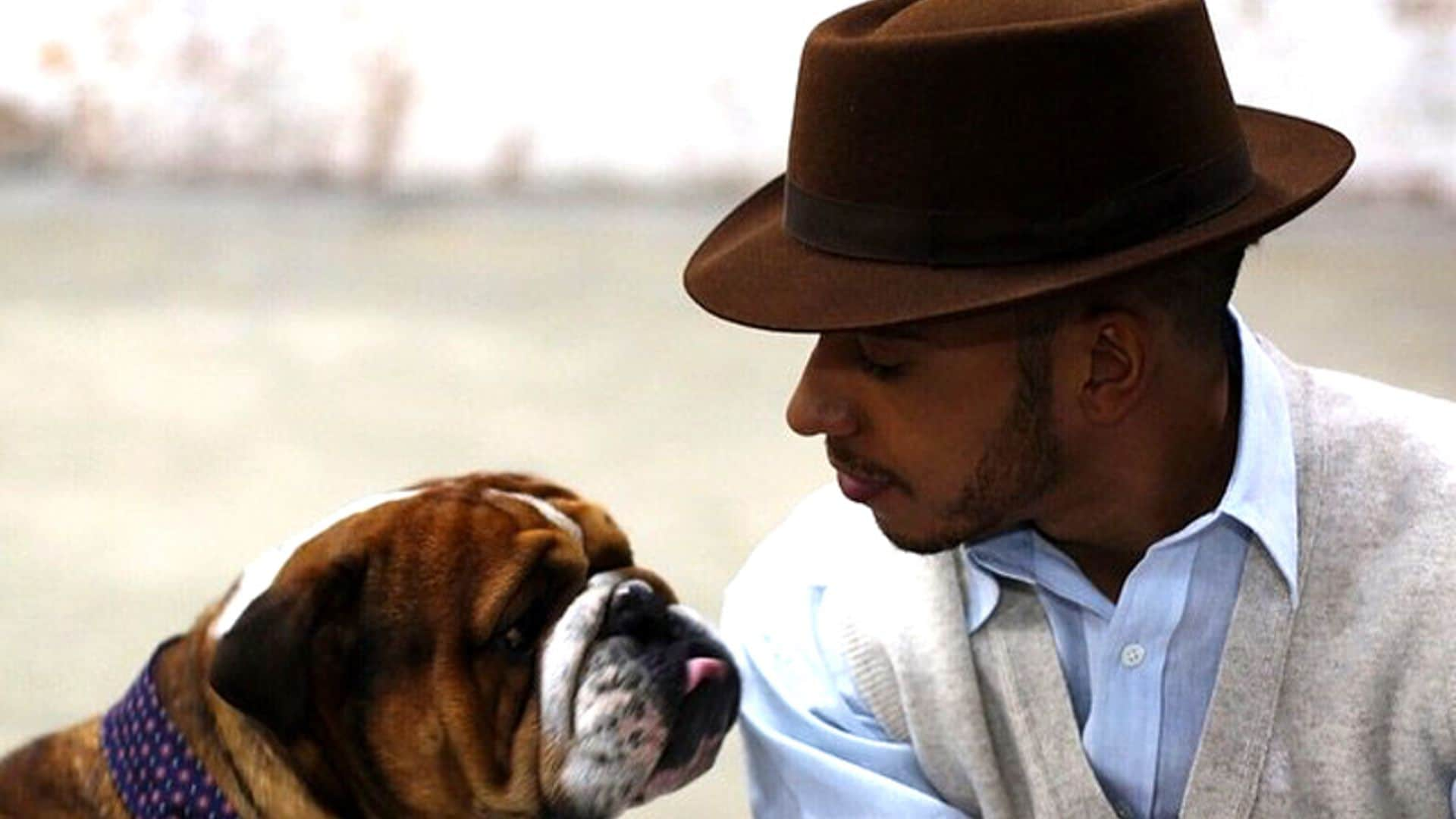 El perro de Lewis Hamilton, una estrella sobre las pasarelas que se embolsa 700 euros diarios