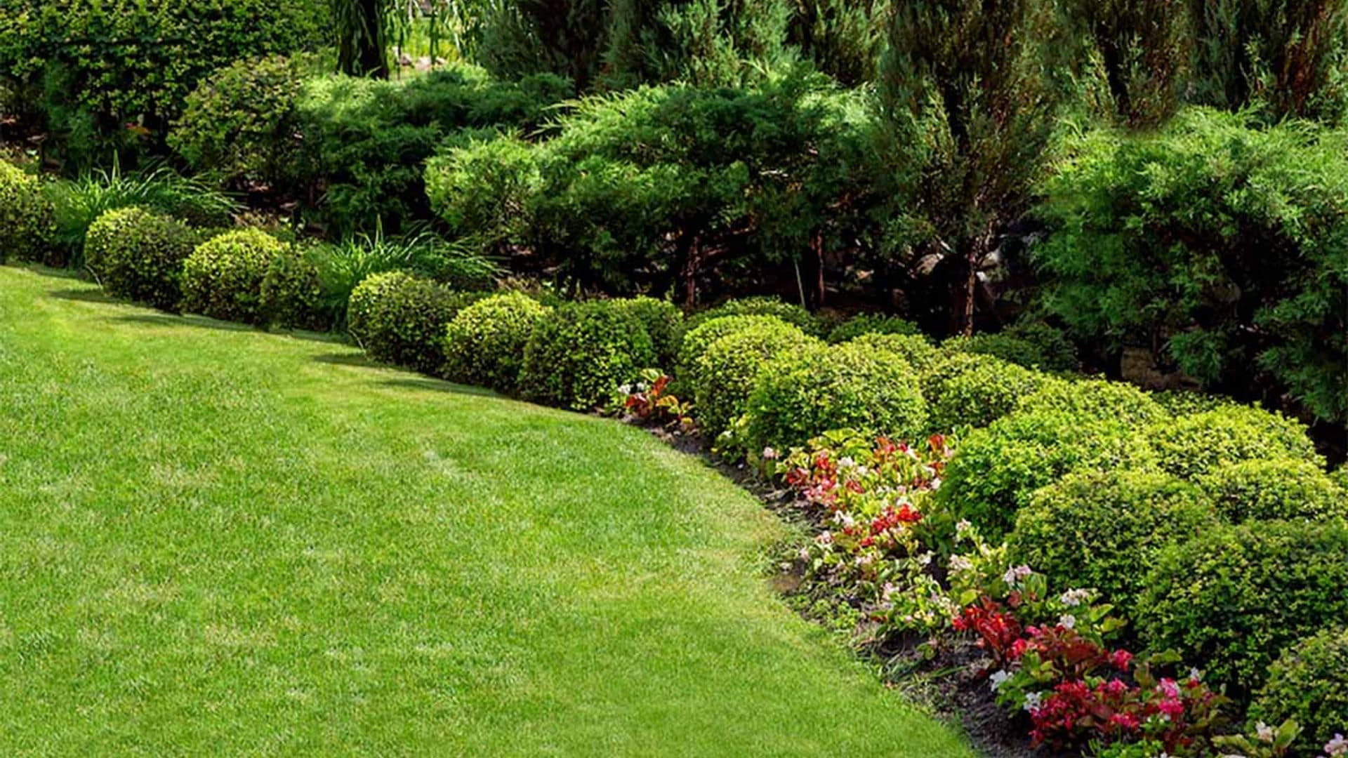 ¿Sabes elegir el tipo de césped que más le conviene a tu jardín?