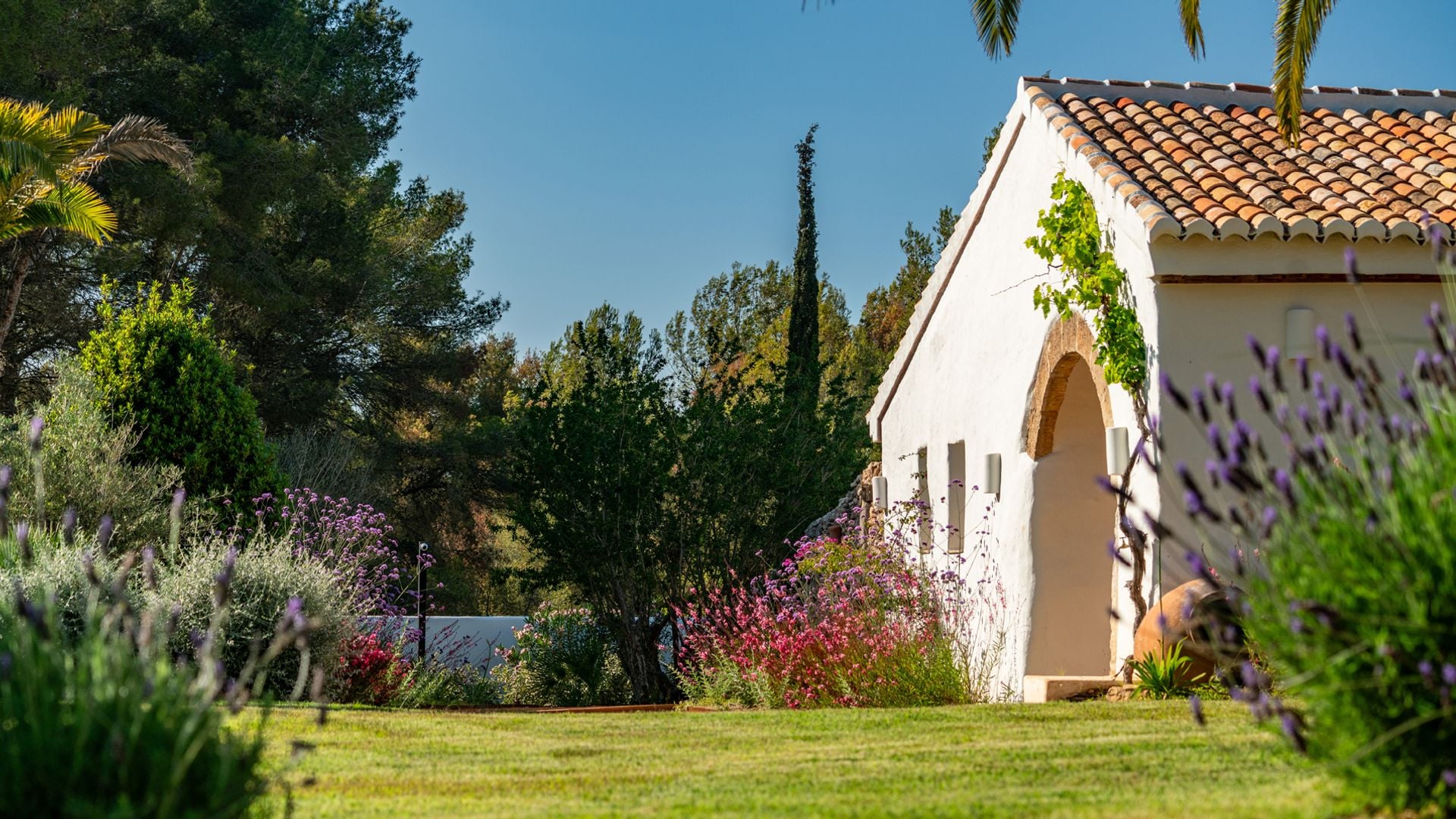 Más allá del diseño: cómo cuidar la evolución natural de tu jardín