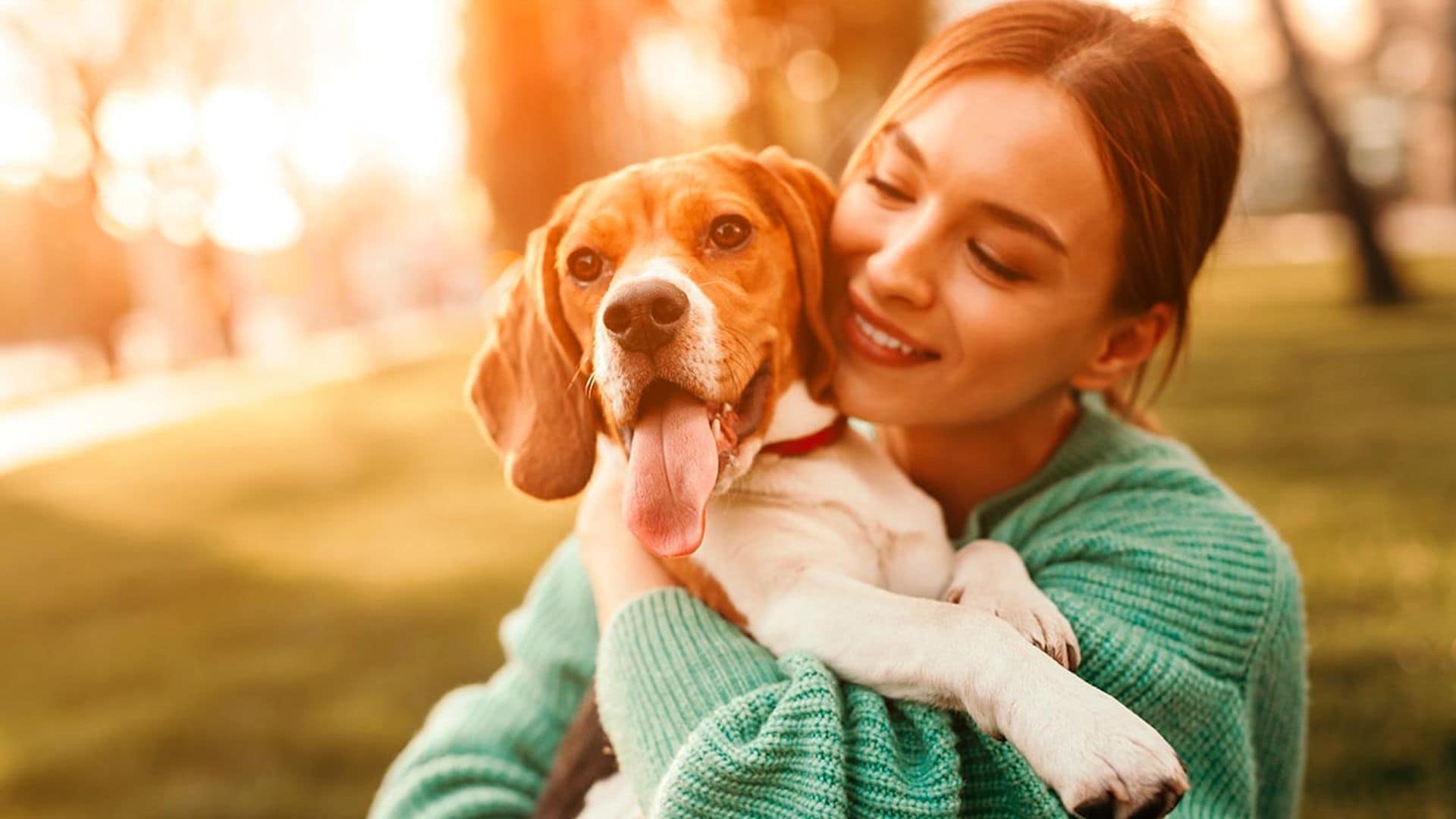 Alarga la vida de tu perro: hasta 20 años vive un can bien cuidado