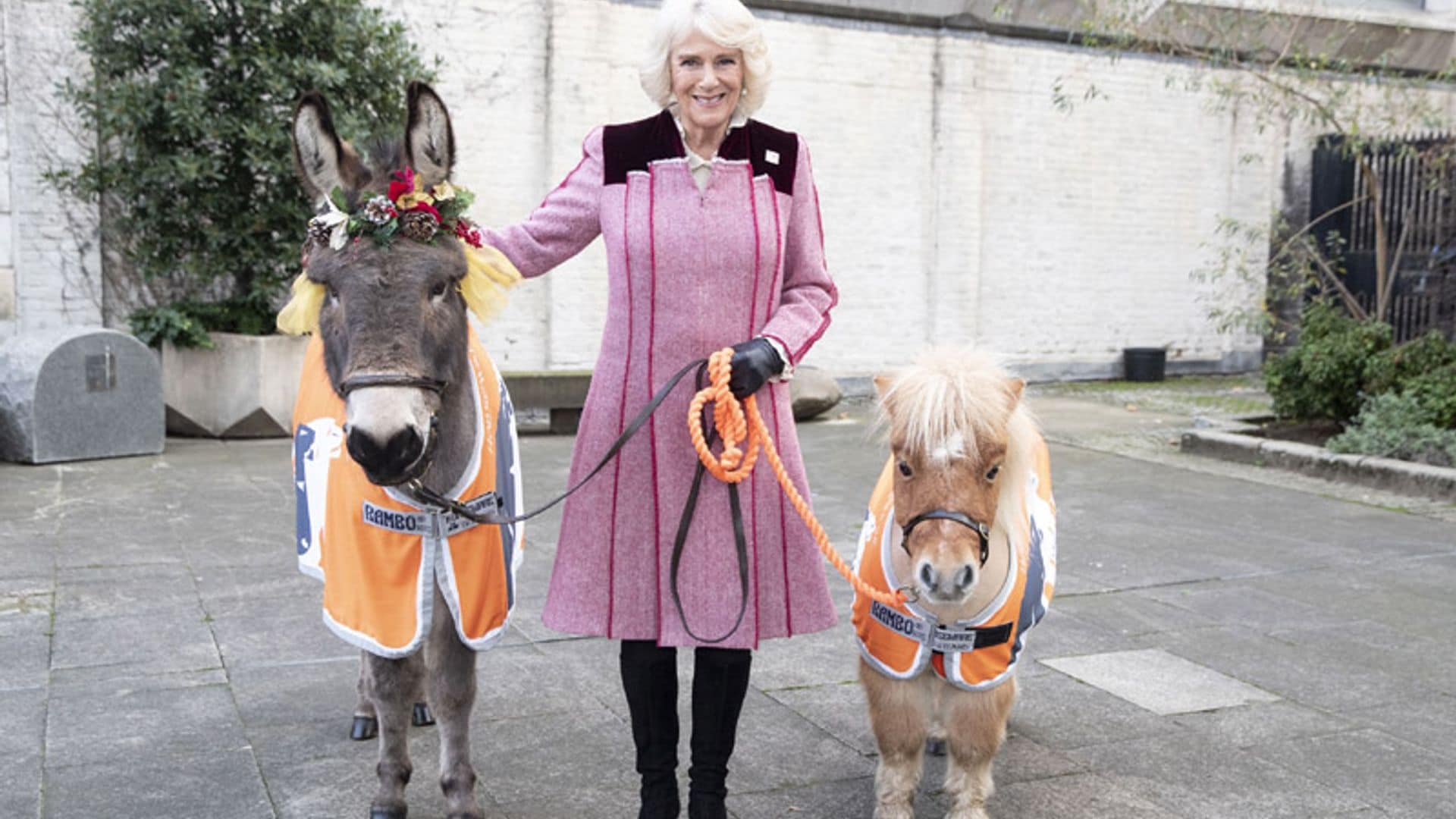 La Navidad real más irreverente de Máxima de Holanda, Marie Chantal de Grecia o la Duquesa de Cornualles