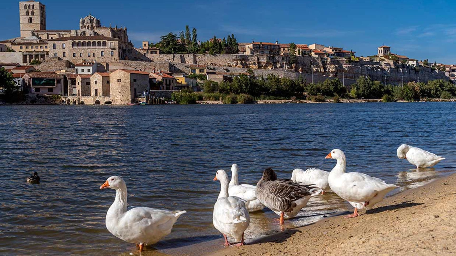 El paseo más bonito por Zamora se hace en barca