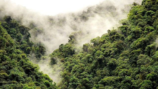 hoviajes costa rica