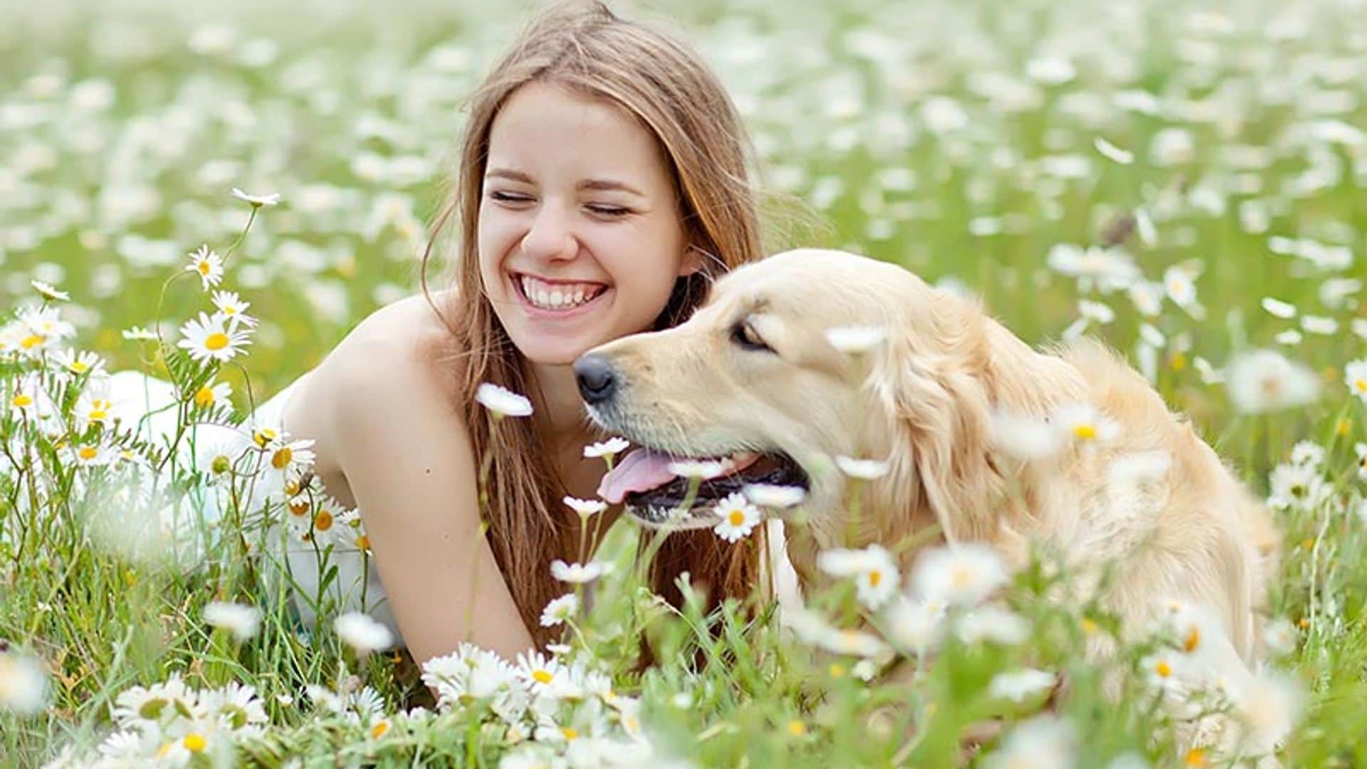 ¿Sabías que tu perro es sensible a tus emociones?