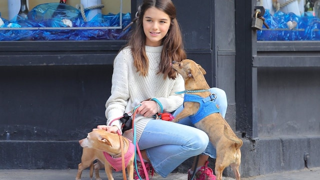 pandilla suri cruise