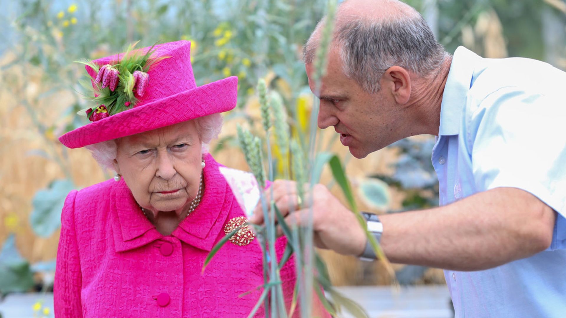 Adiós a los catadores: así impide la reina Isabel II un potencial envenenamiento