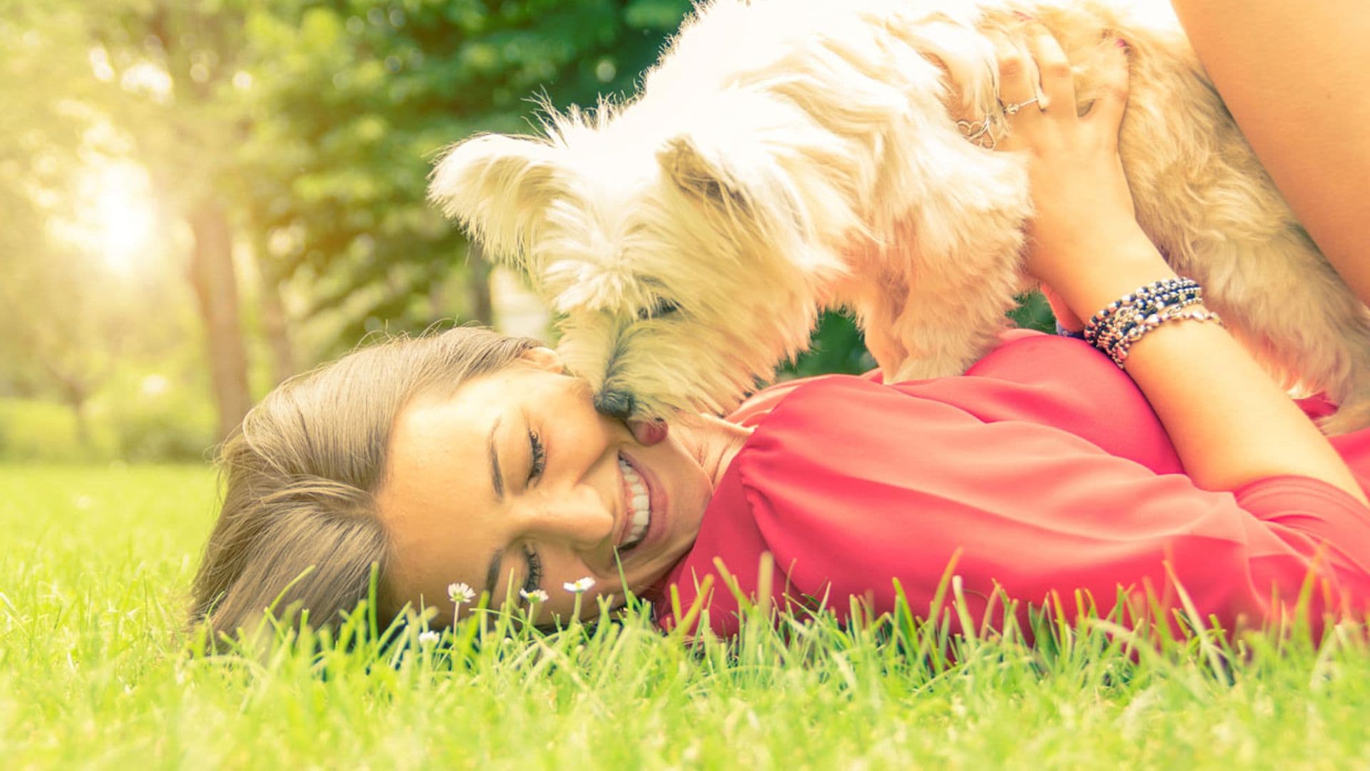 ¿Por qué mi perro tiene la manía de montarme o montar a otros perros?