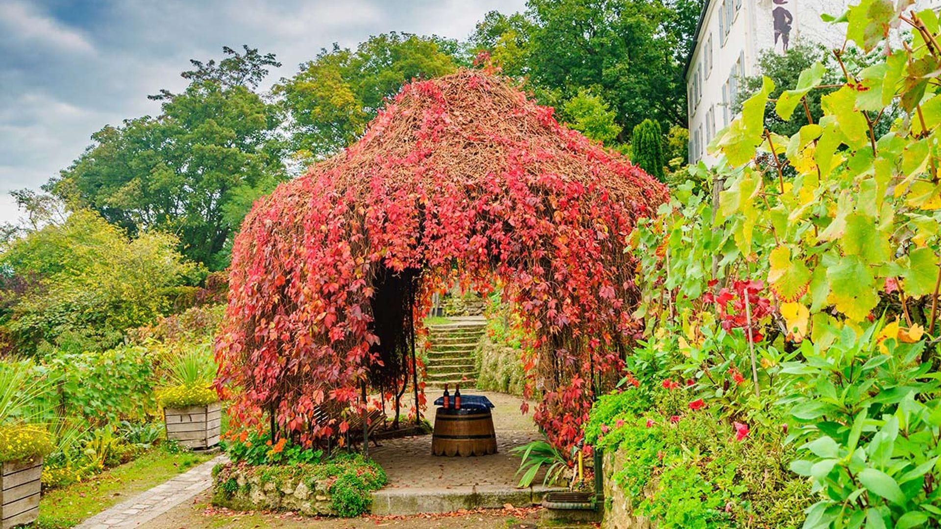 Qué hacer en el barrio de Montmartre en otoño, además de vendimiar