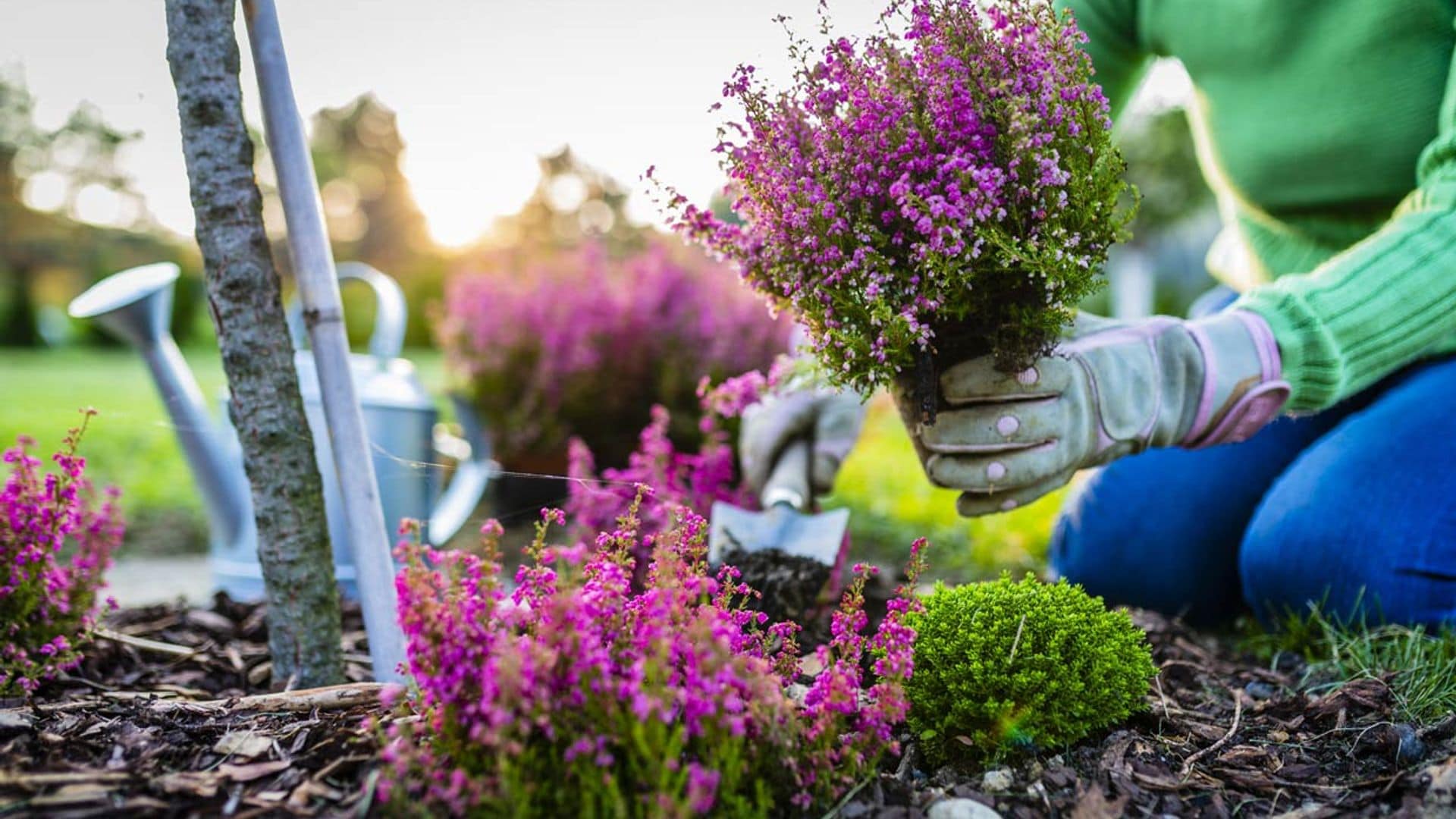 ¿Sabes qué trabajos hay que realizar en el jardín durante el otoño?