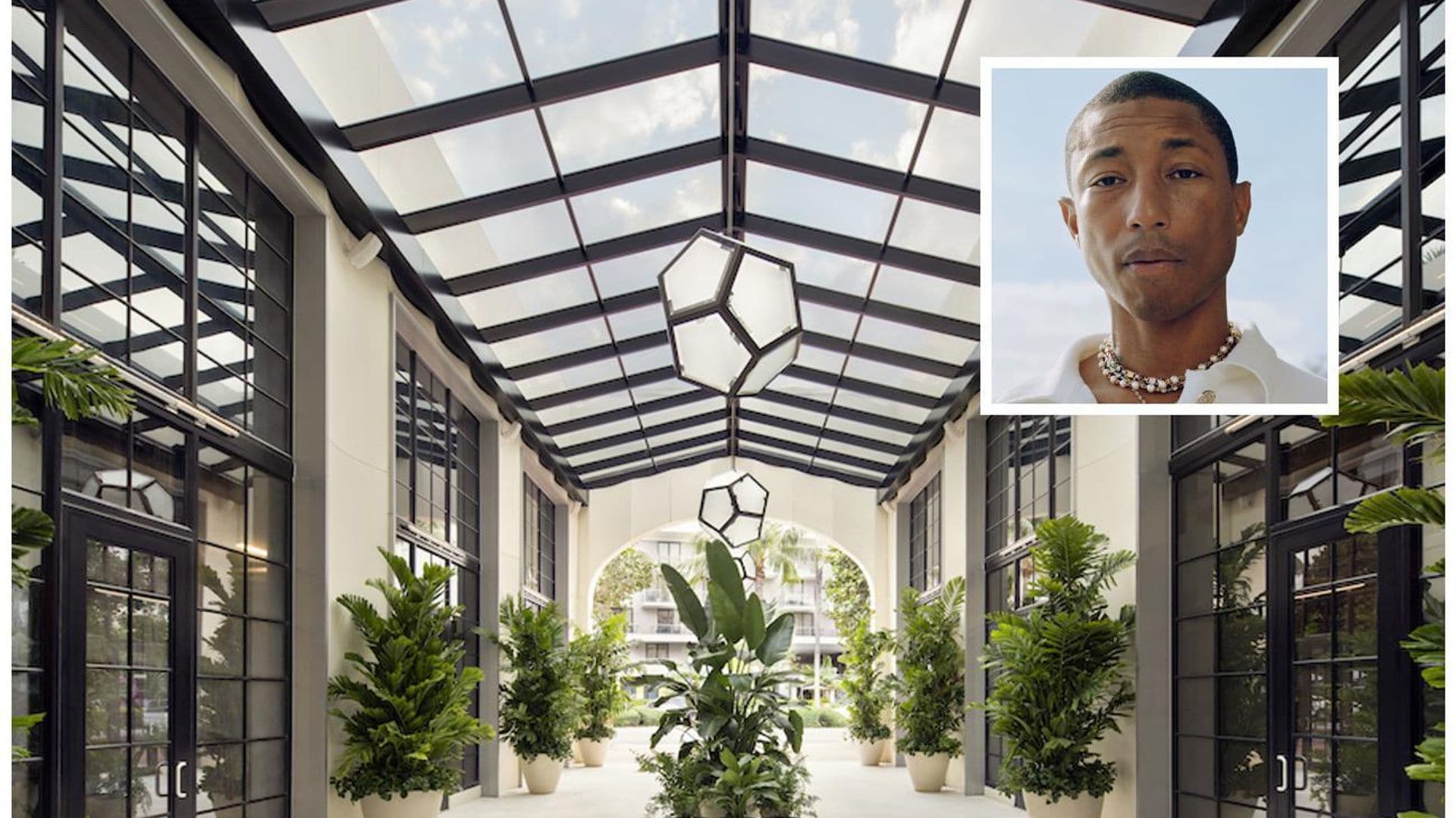 Conoce el espectacular hotel de Pharrell Williams