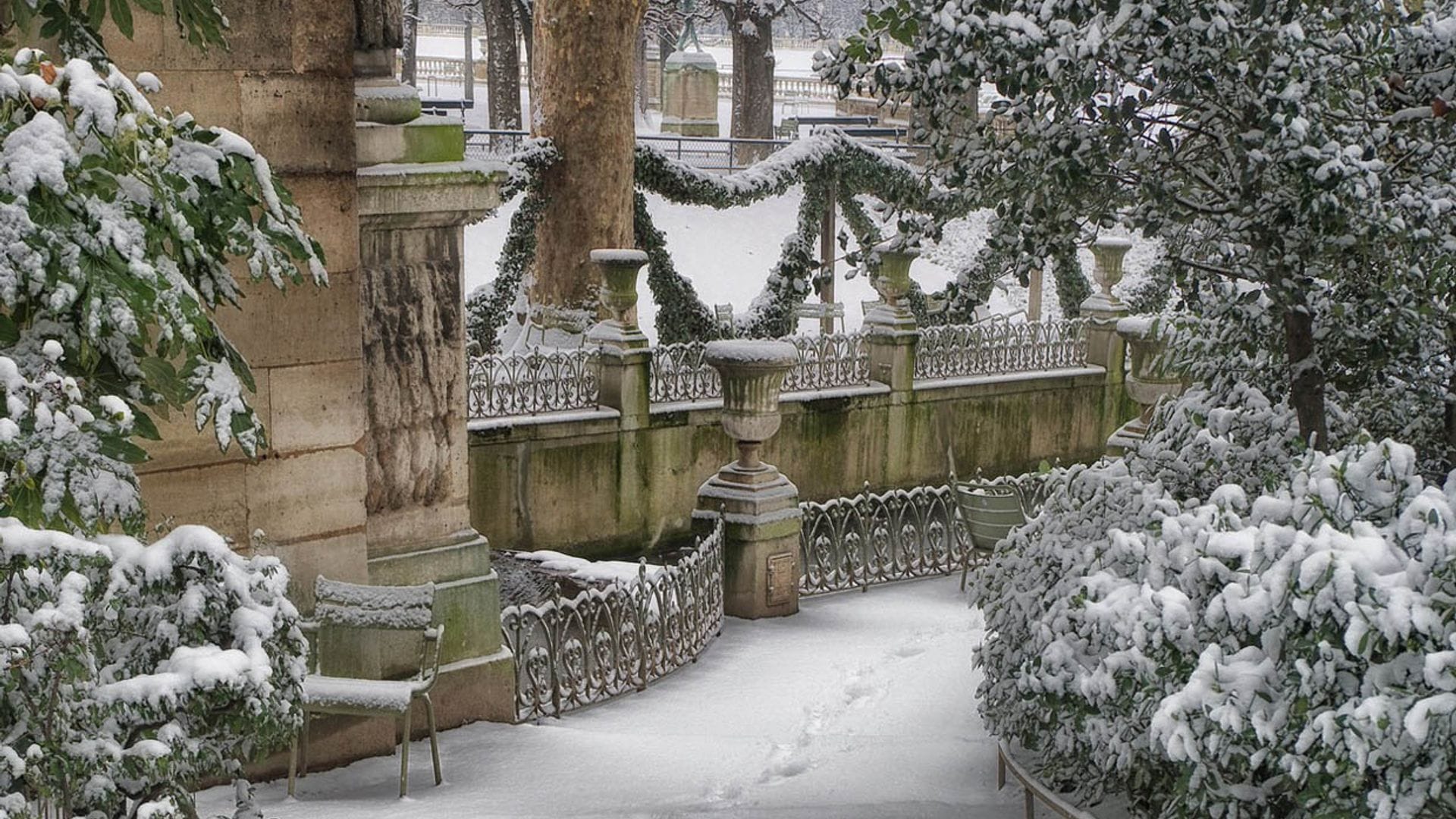 Hermosas plantas autóctonas para decorar los jardines durante el invierno