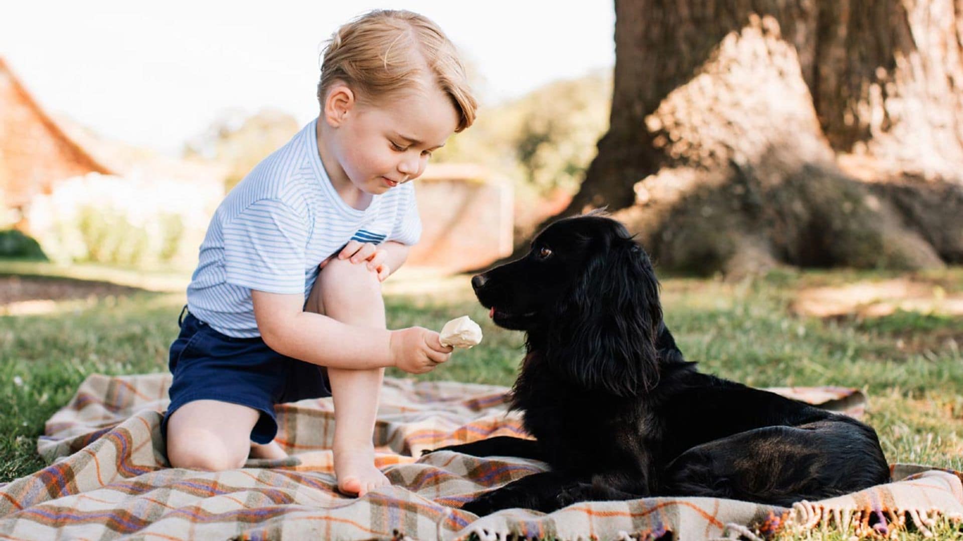 De los corgis de Isabel II al hámster de Charlotte... las mascotas de la Familia Real, en una exposición