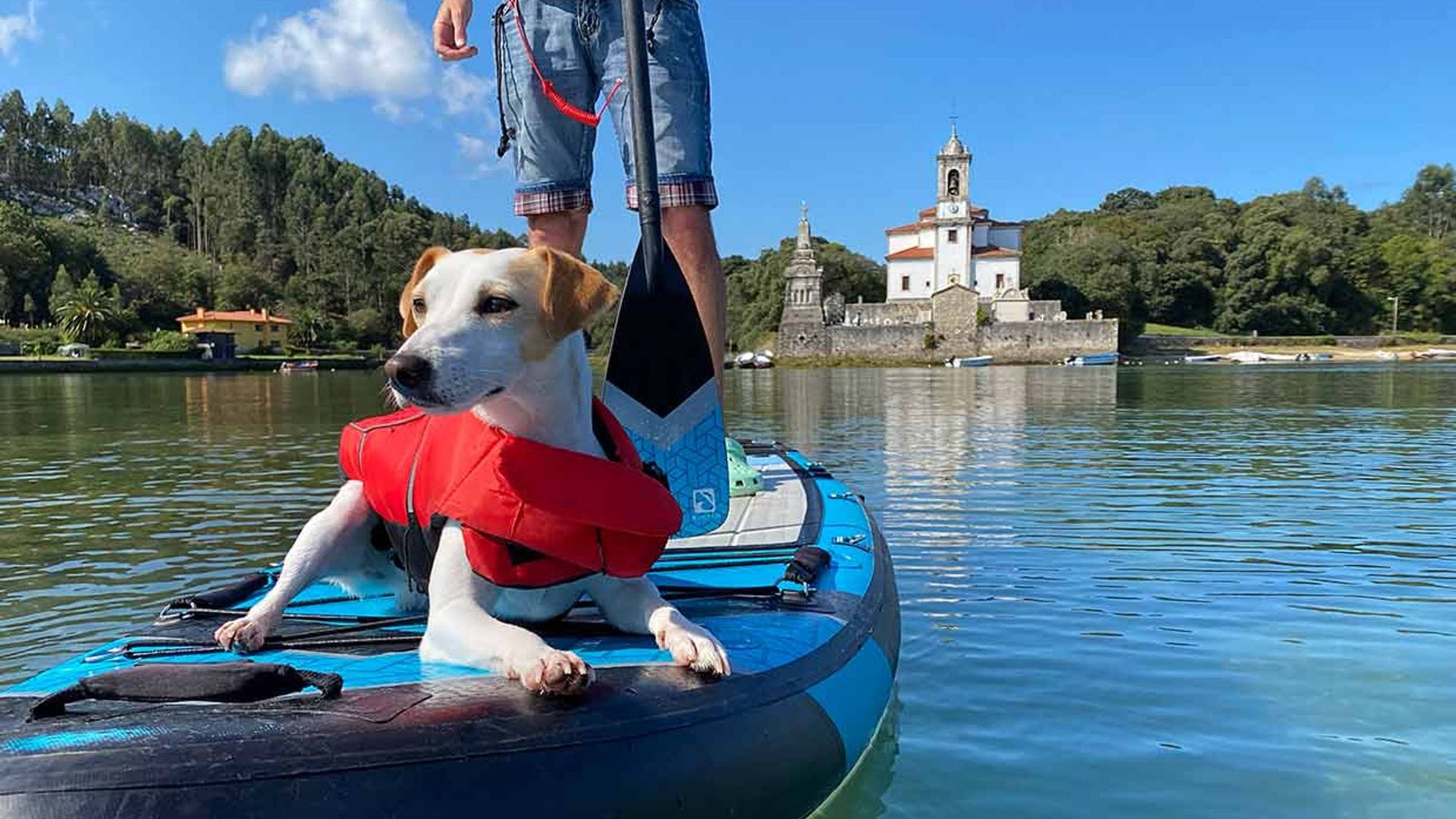 Pablo Muñoz Gabilondo: ‘En España hay 110 playas caninas, pero solo 20 son recomendables’