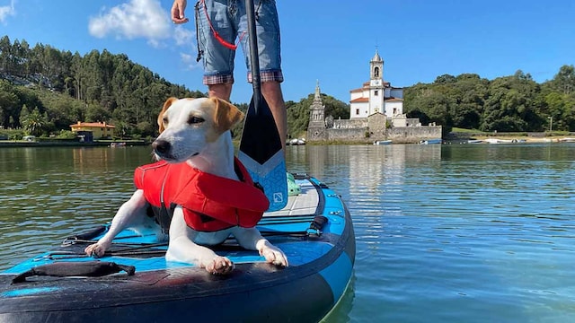 pablo munoz gabilondo viajar con perro por espana