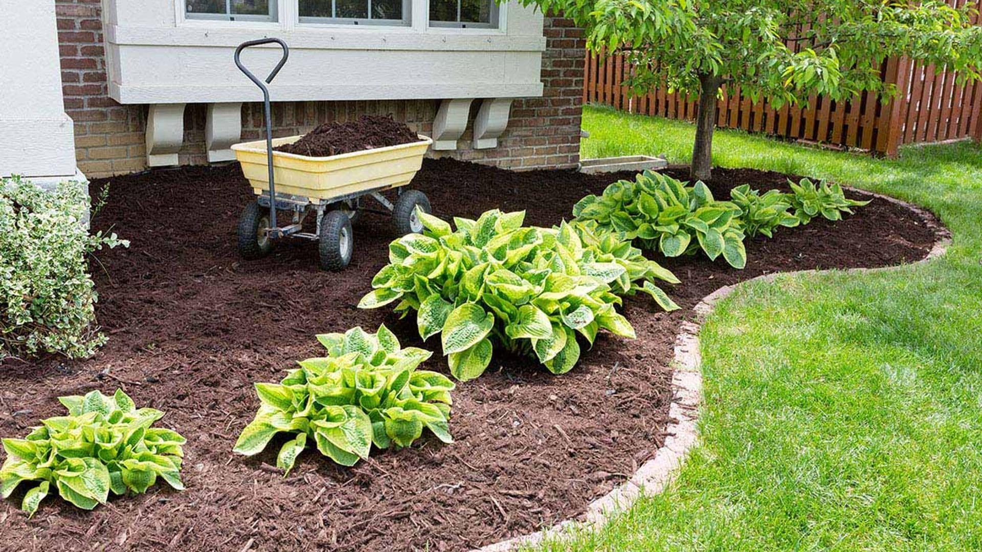 Estos son los mejores materiales para acolchar el suelo del jardín y del huerto