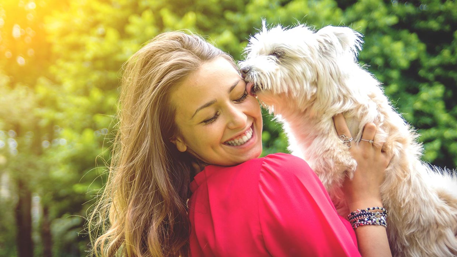 ¿Por qué no debes dejar que tu perro te lama la cara?