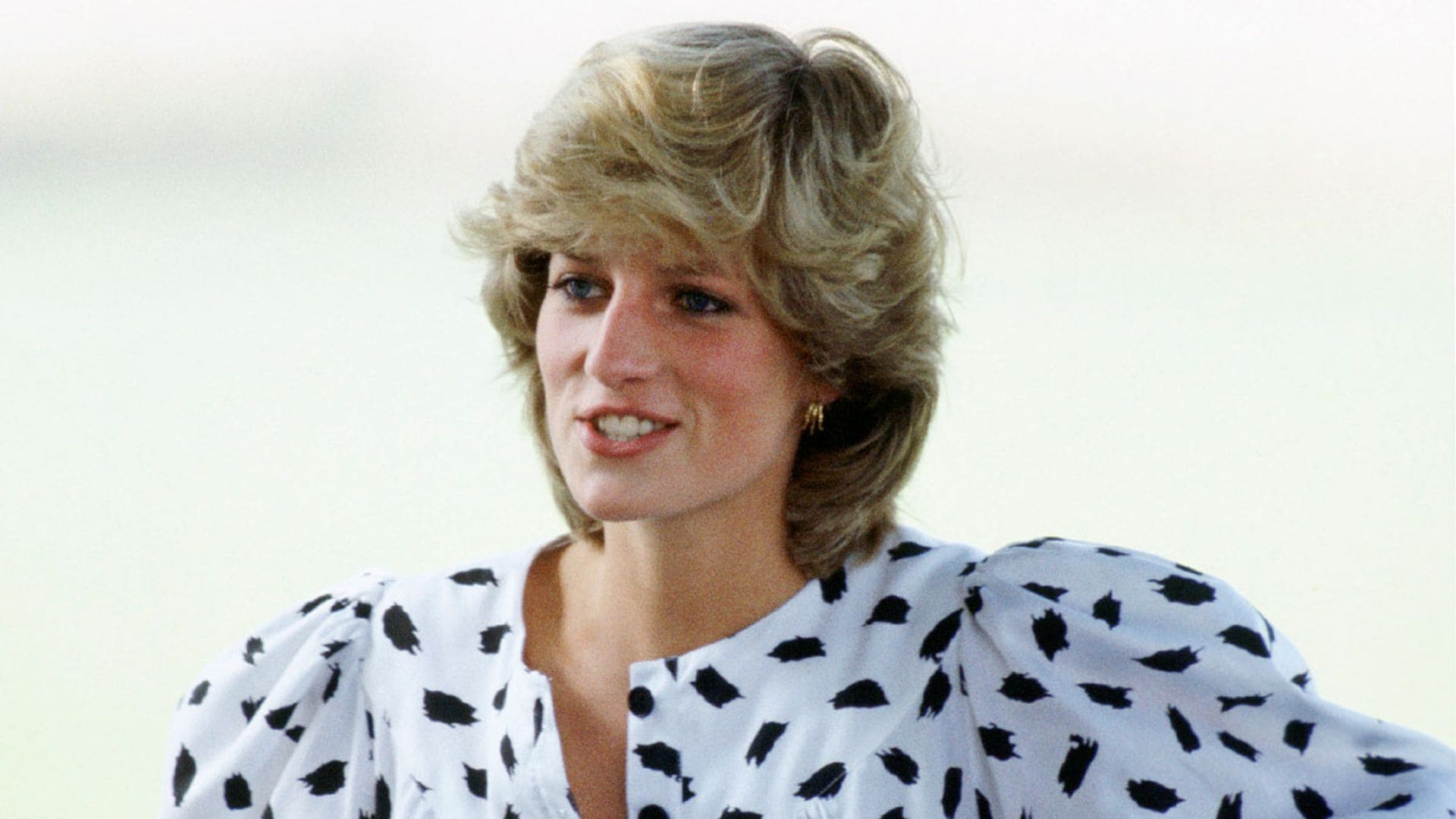 Los príncipes Guillermo y Harry mantienen vivo el recuerdo de Diana de Gales 22 años después