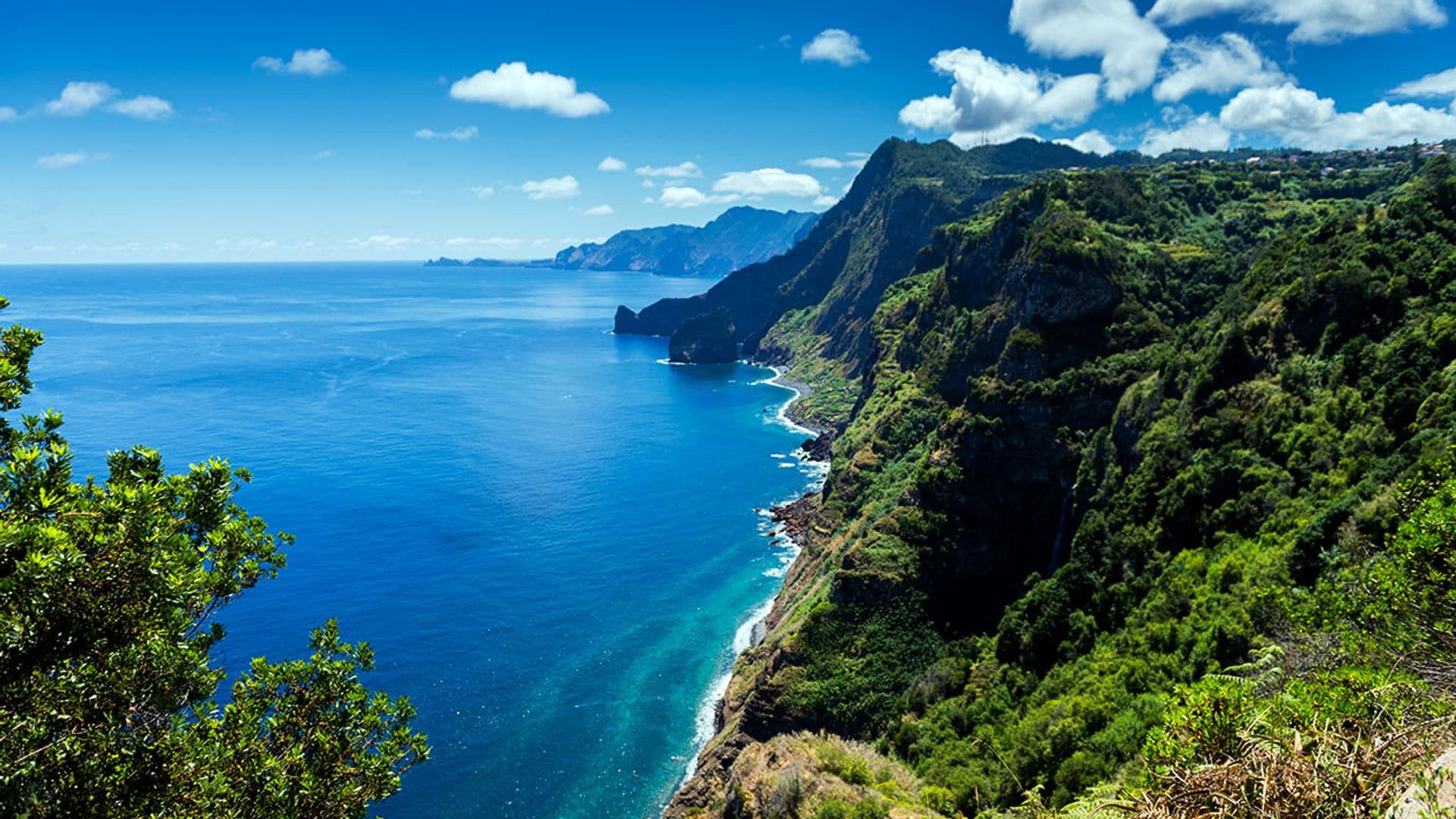 Los imprescindibles en Madeira para cualquier viajero