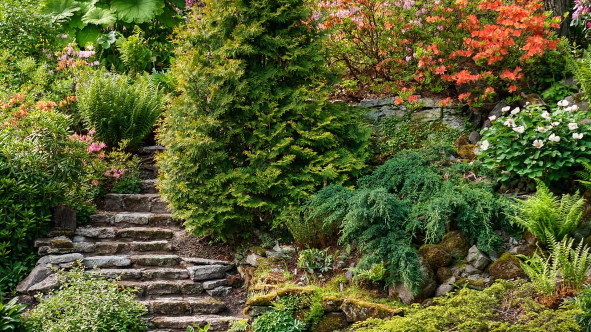 Cómo diseñar un jardín en un terreno con pendiente