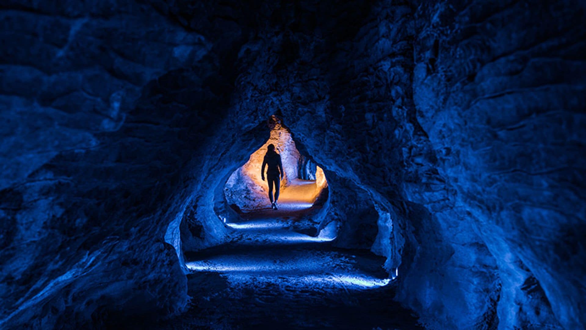 La alucinante cueva de los gusanos de luz