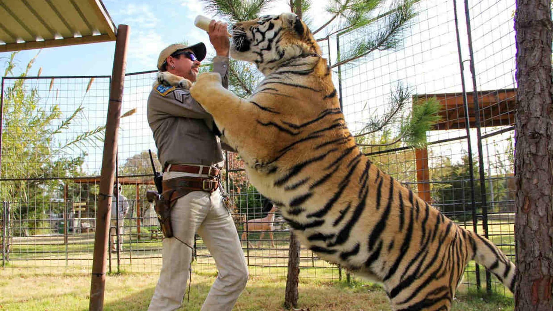 ¿Has oído hablar de 'Tiger King'? El extraño éxito de la docuserie sobre zoos privados