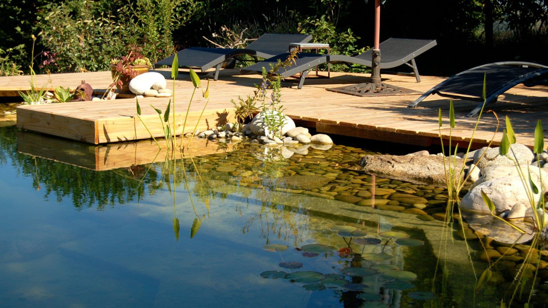 Te descubrimos las ventajas de apostar por una piscina naturalizada