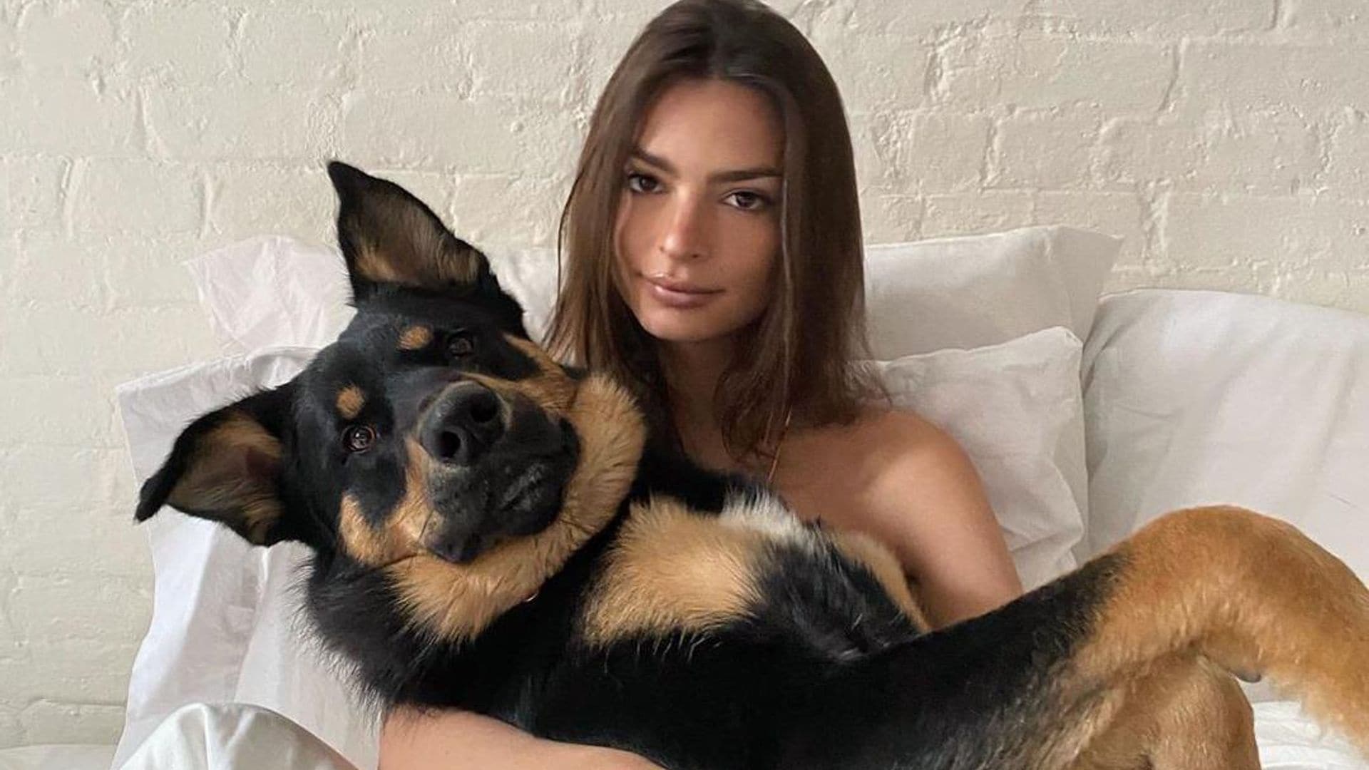 emily ratajkowski y su perro