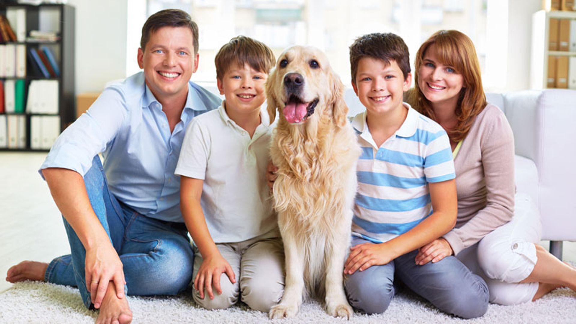 Cuatro claves que hacen del golden retriever el mejor perro para tener en familia