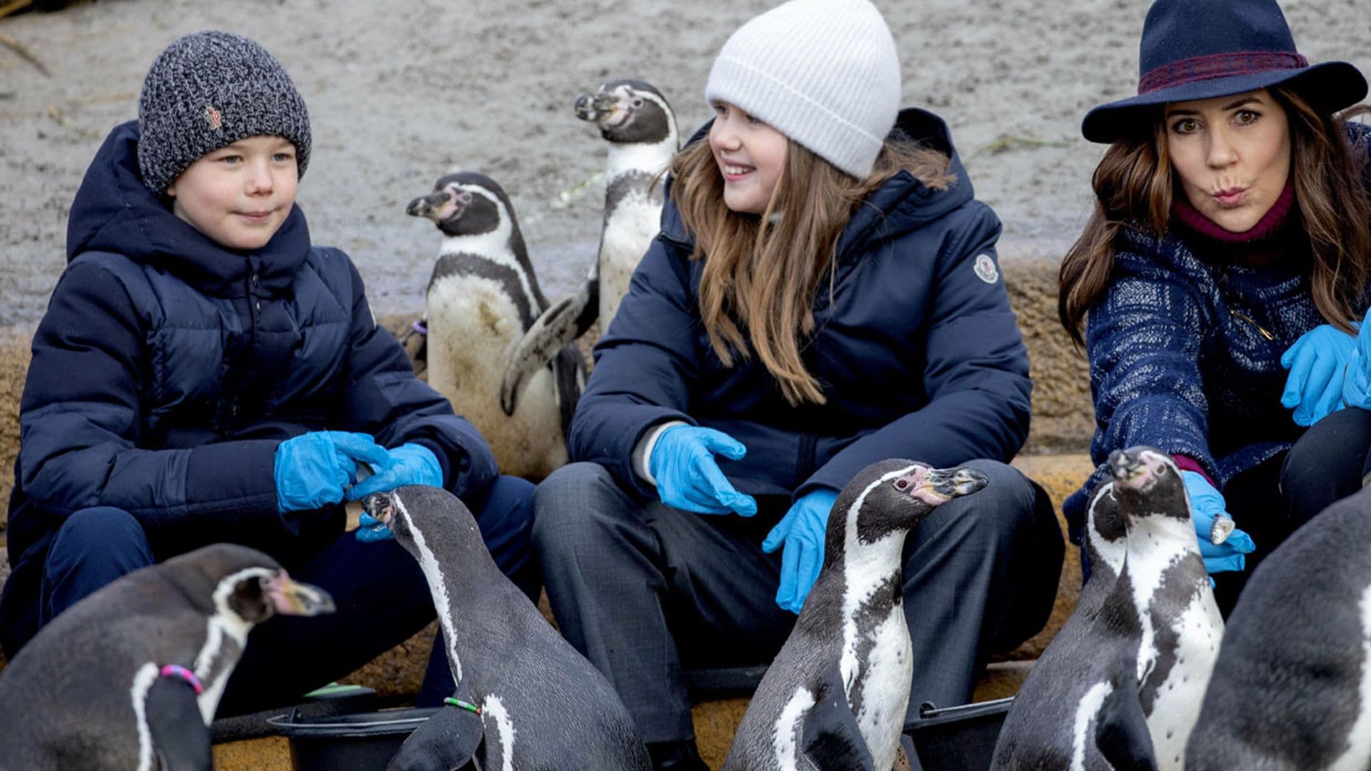 Mary de Dinamarca y sus hijos pequeños, divertido día de excursión ¡rodeados de pingüinos!