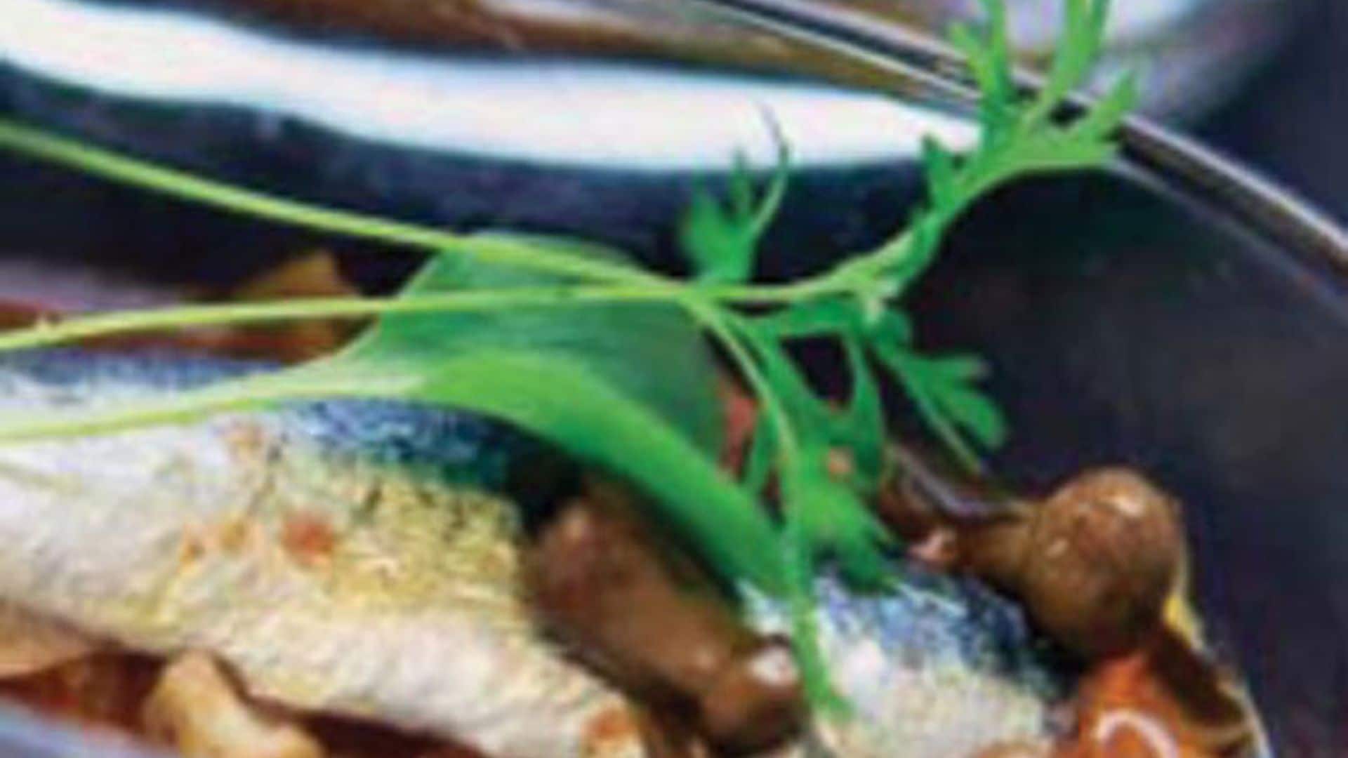 Guiso de tomate y albahaca con sardina marinada y microvegetales