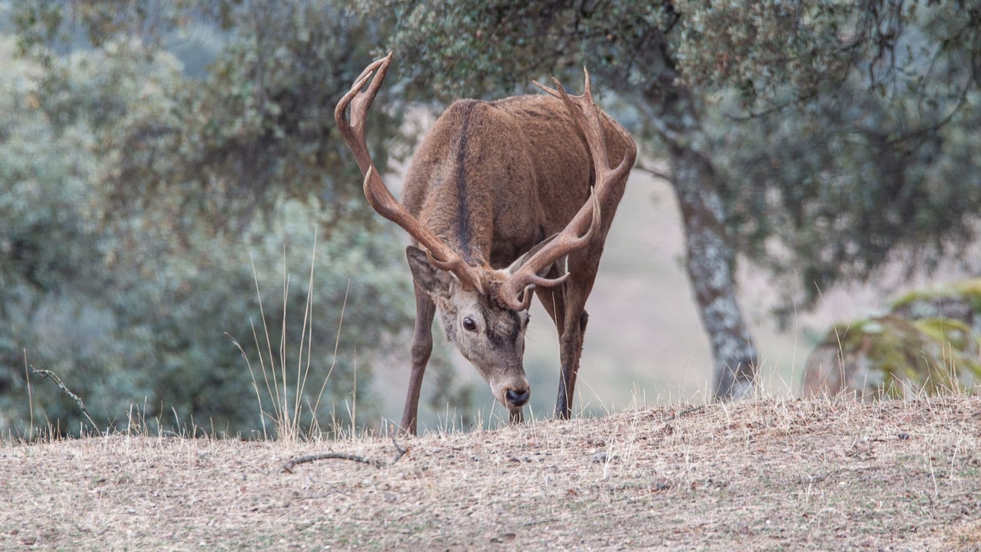 Central de Reservas Sierra del Guadarrama