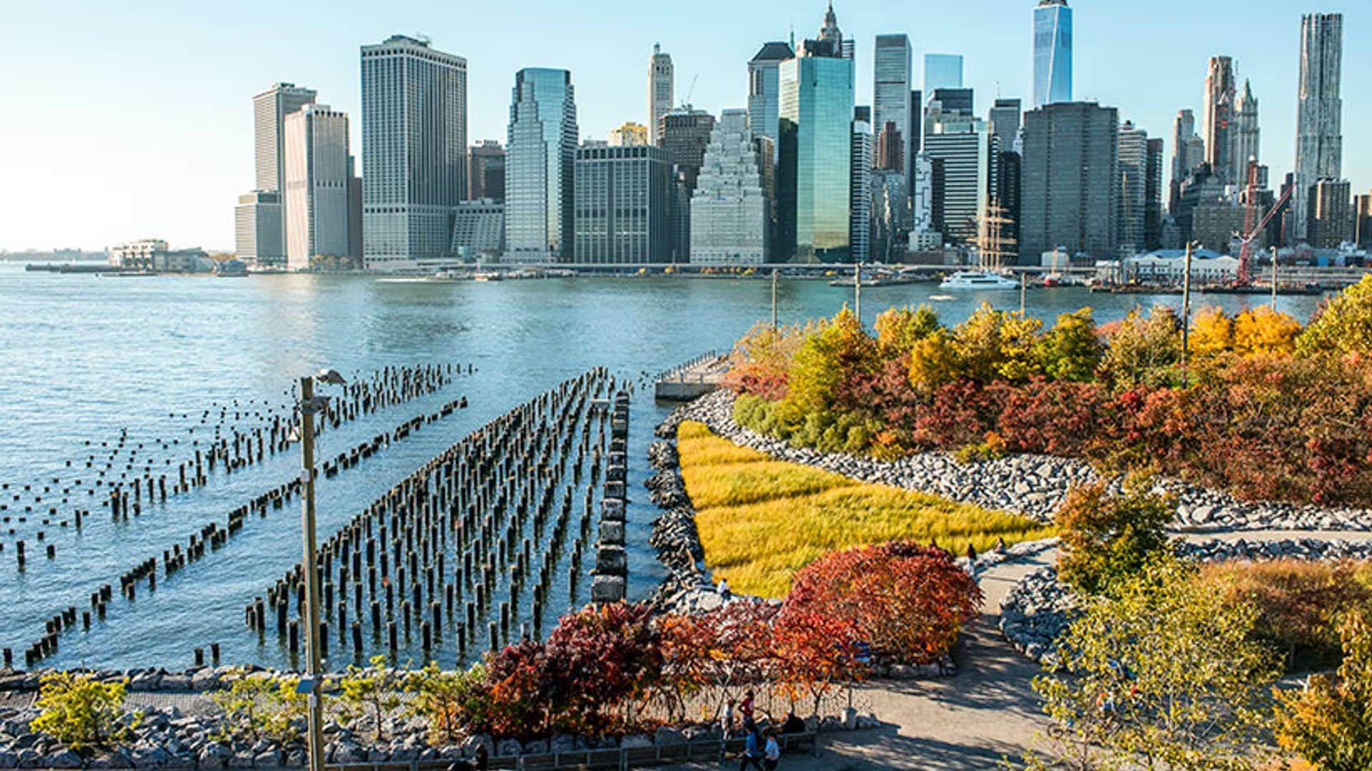 Amor por Nueva York en otoño