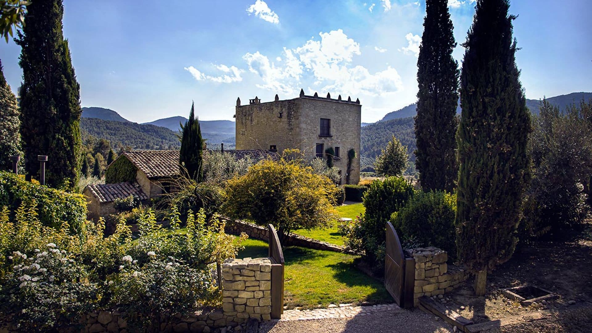 El mejor aceite de oliva del mundo, protagonista de todos estos planes viajeros