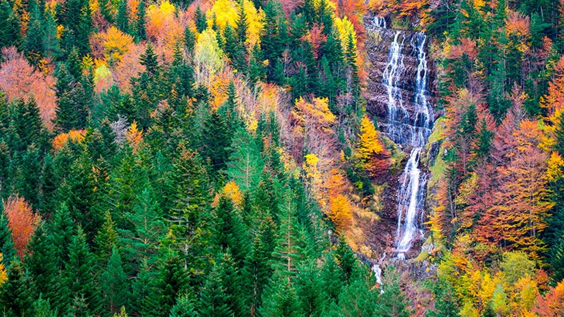 ¡Estrenamos estación! Otoño en 12 paisajes imprescindibles