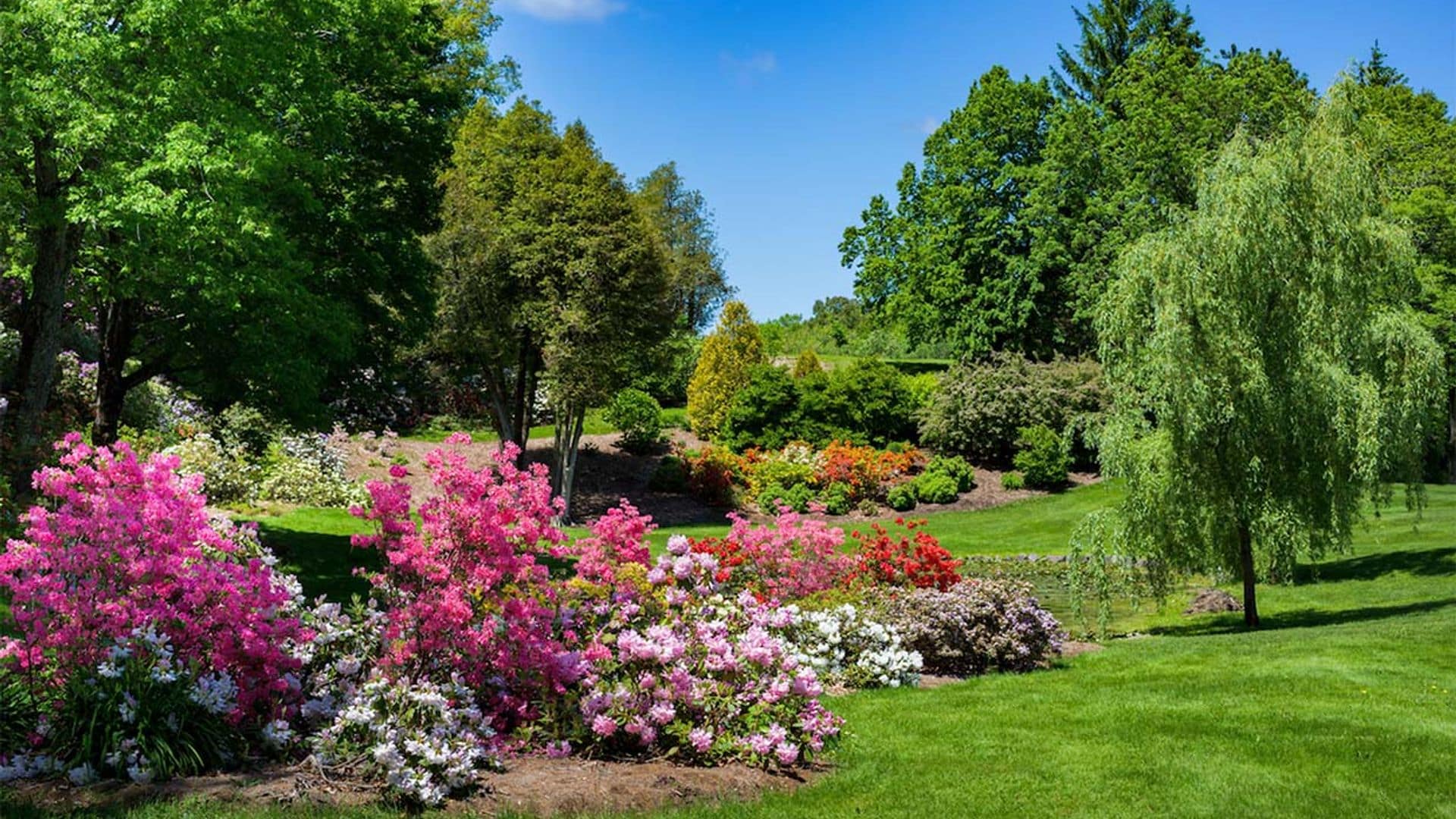 ¿Sabes cómo conseguir un jardín de estilo inglés con mucho encanto?