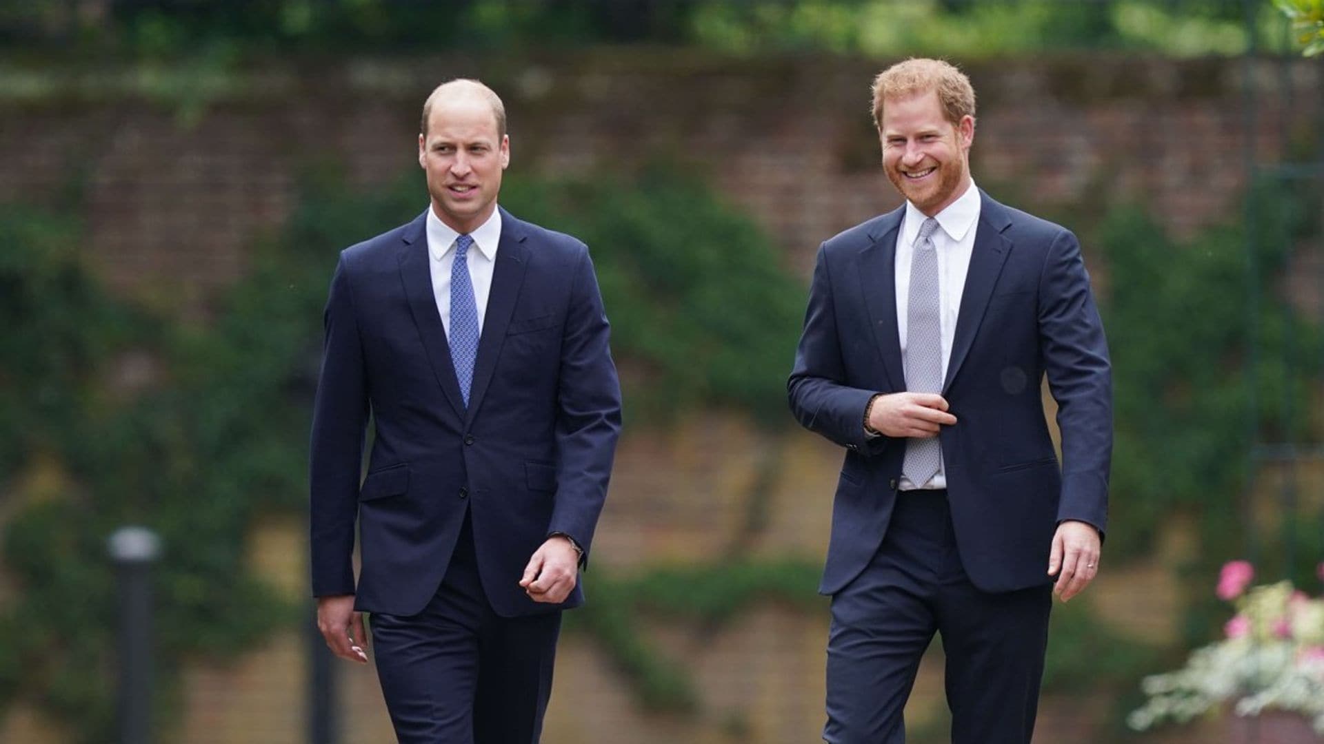 Guillermo y Harry aparcan sus diferencias para homenajear a su madre, Diana de Gales