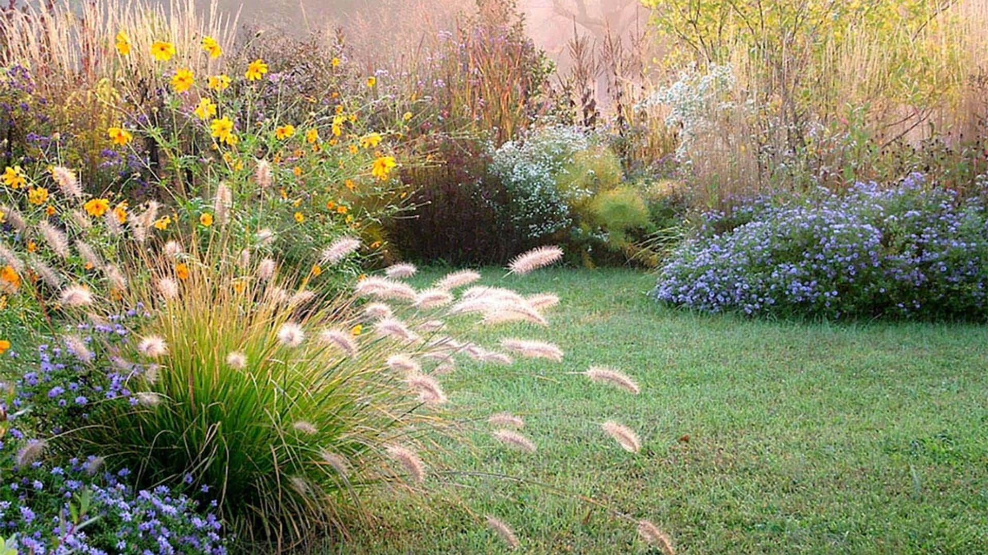 Descubre las posibilidades decorativas de las gramíneas para tu jardín