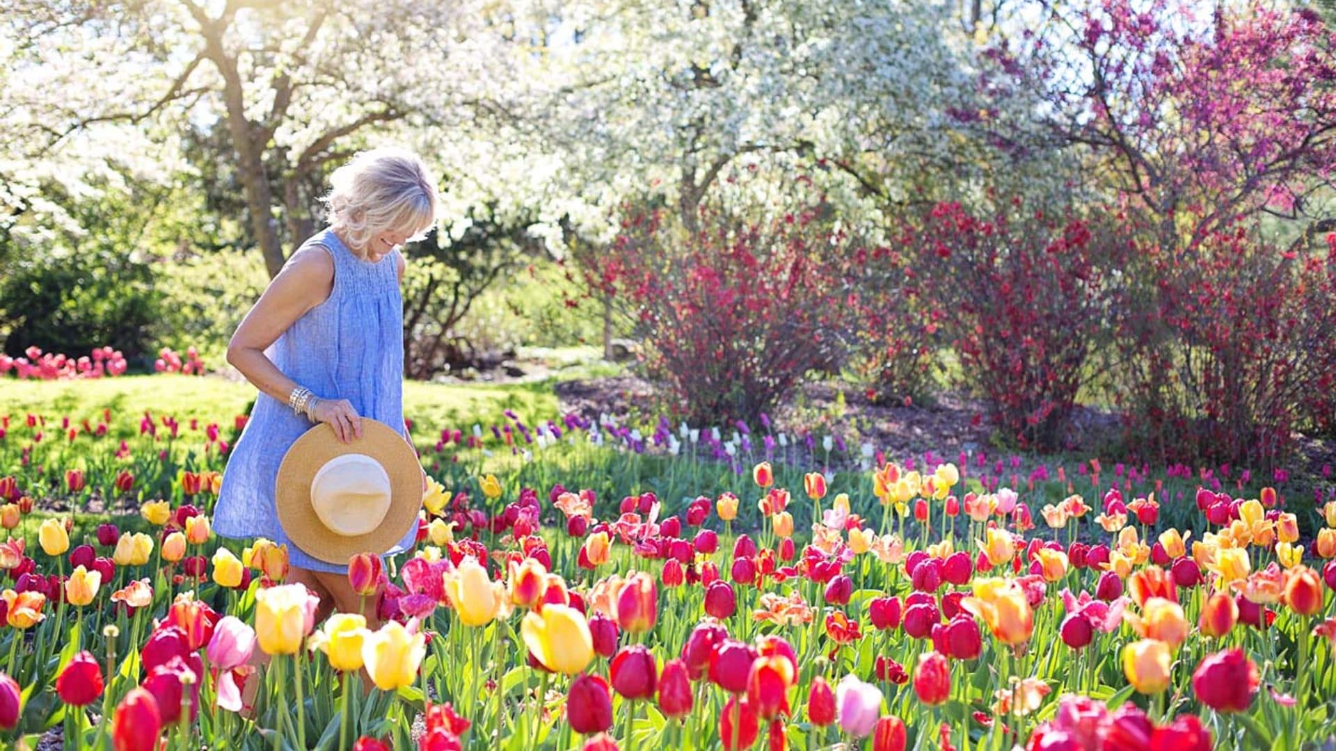 ¿Cuánto tiempo tarda tu jardín en lucir con todo su esplendor?