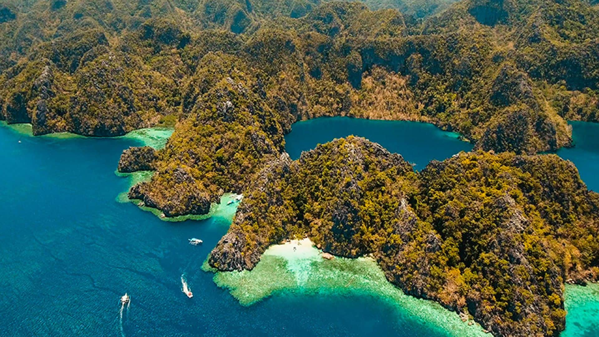 Bohol, la isla filipina donde se vuela sobre colinas de chocolate