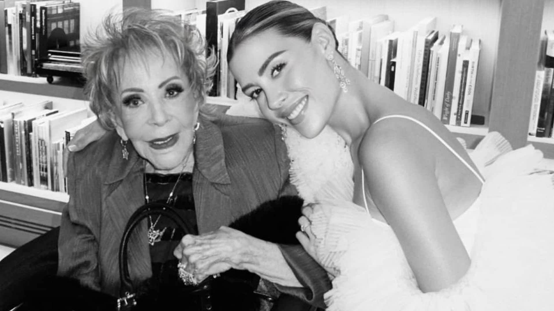 Así fue la maravillosa fiesta pre-boda de Michelle Salas junto a su bisabuela, Silvia Pinal