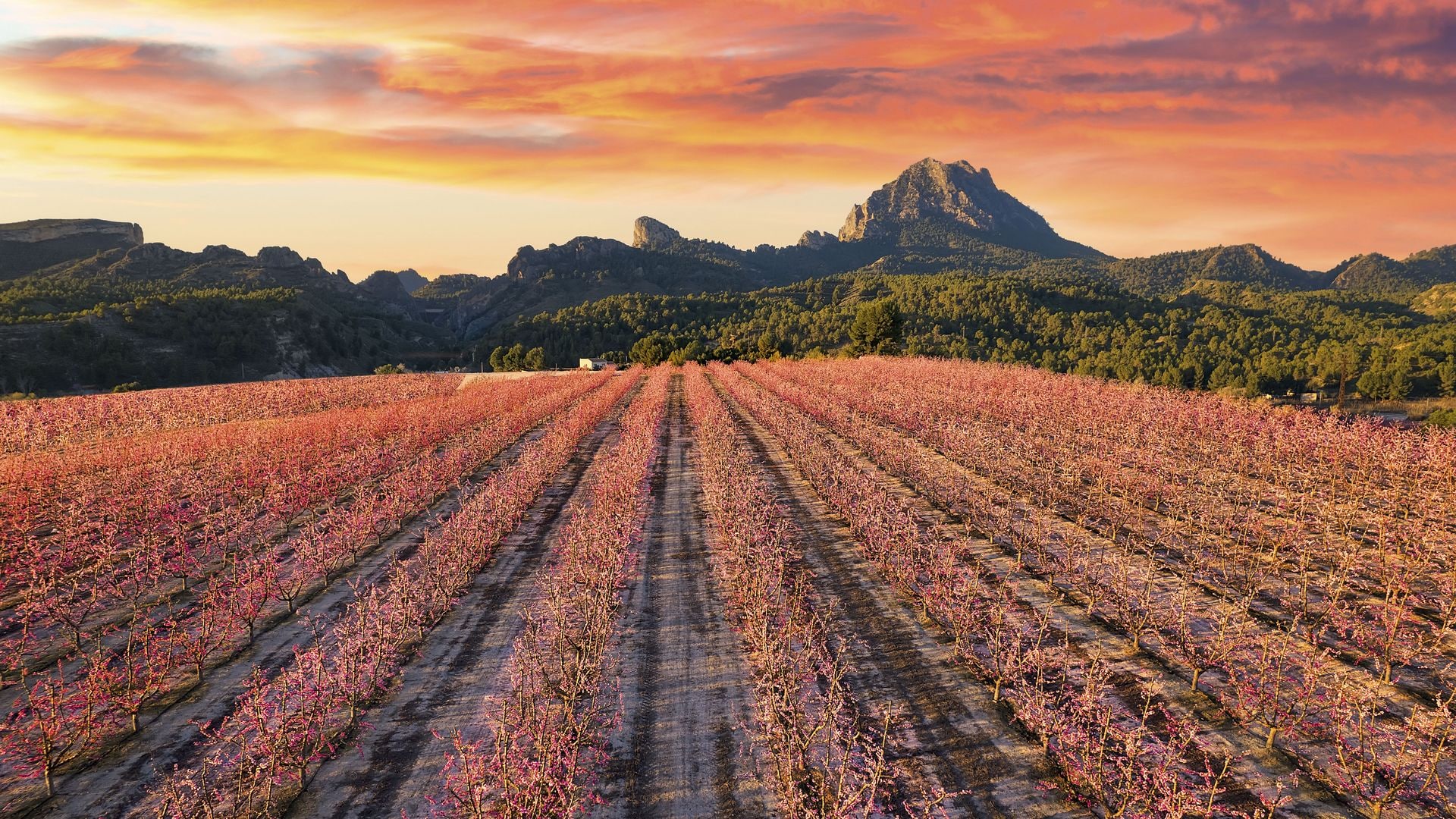 Ganas de primavera: 5 escapadas para los fines de semana de marzo