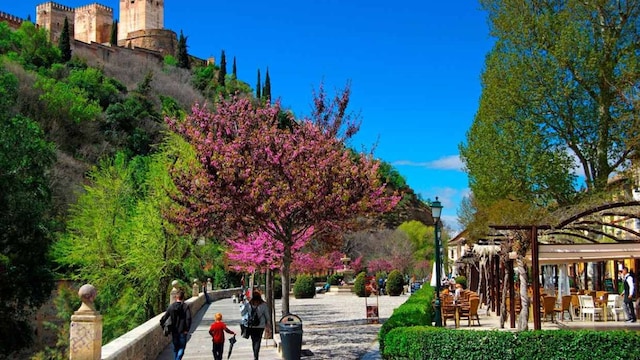 paseo tristes granada